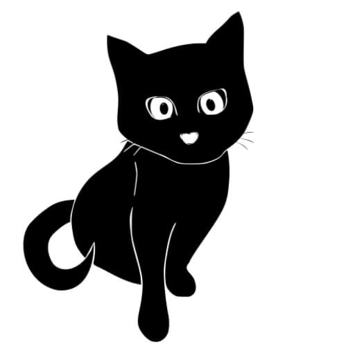 Savonnerie chat noir nu
