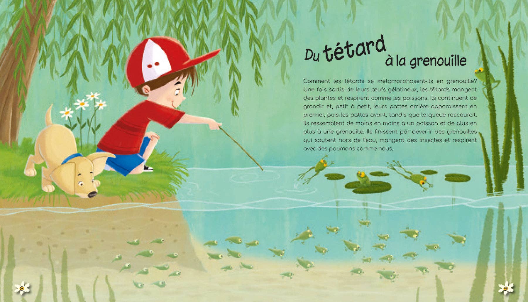 LES MERVEILLES DE LA NATURE - POUR BIEN GRANDIR