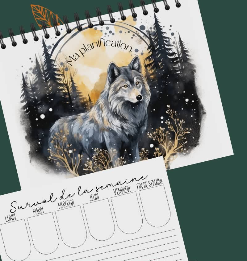 Planificateur hebdomadaire version 2.0