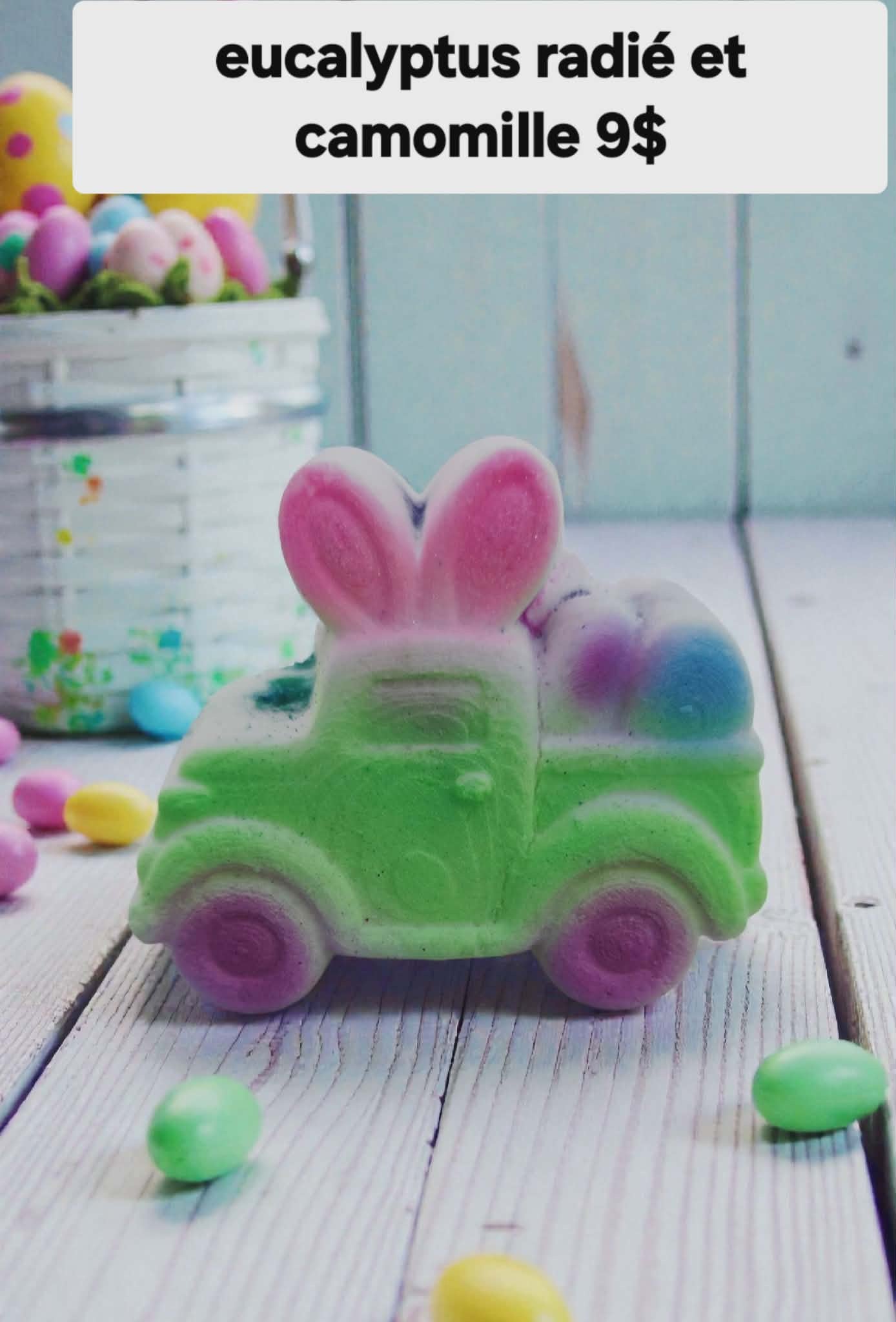 Bombe camion à l'eucalyptus radié et camomille avec insertions de couleurs - PRÉCOMMANDE