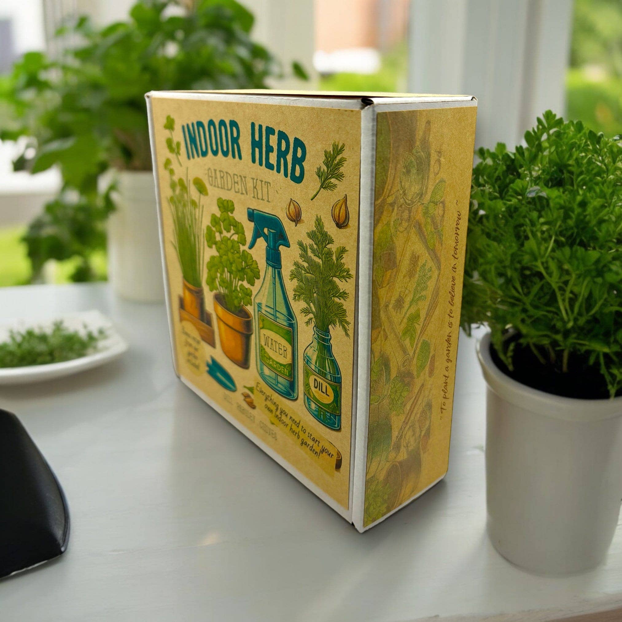 Kit de démarrage pour jardin d'herbes aromatiques d'intérieur avec graines de persil, de ciboulette et d'aneth