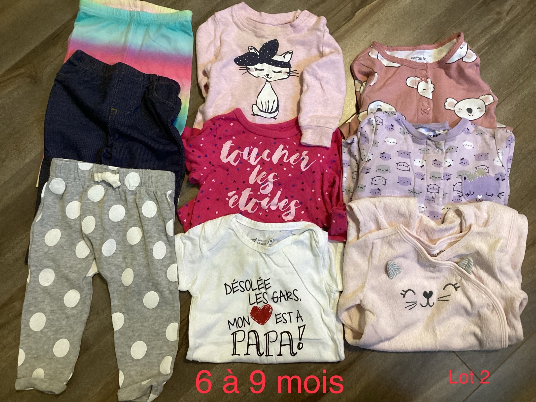 Lot 2. 6 a 9 mois