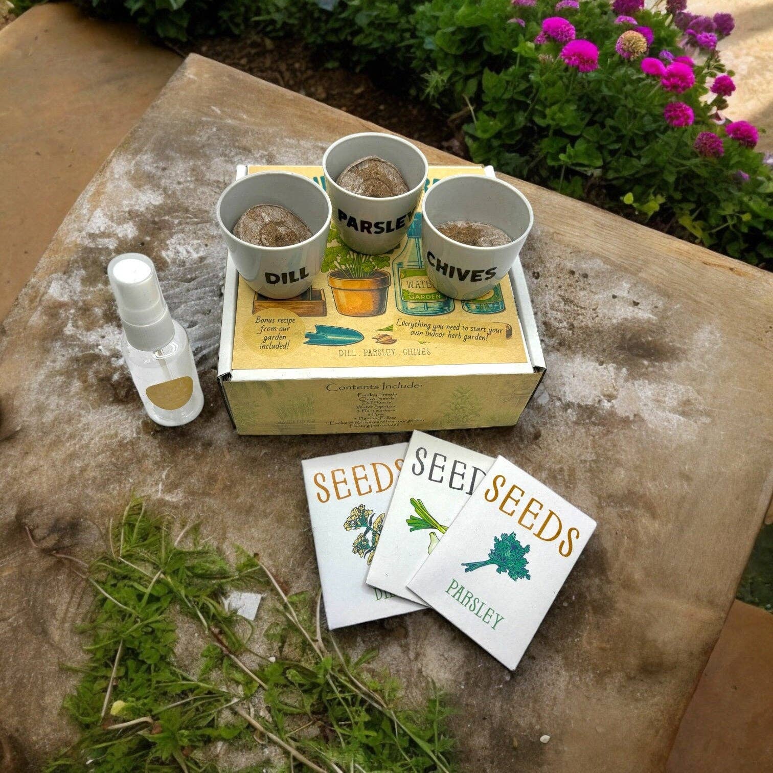 Kit de démarrage pour jardin d'herbes aromatiques d'intérieur avec graines de persil, de ciboulette et d'aneth