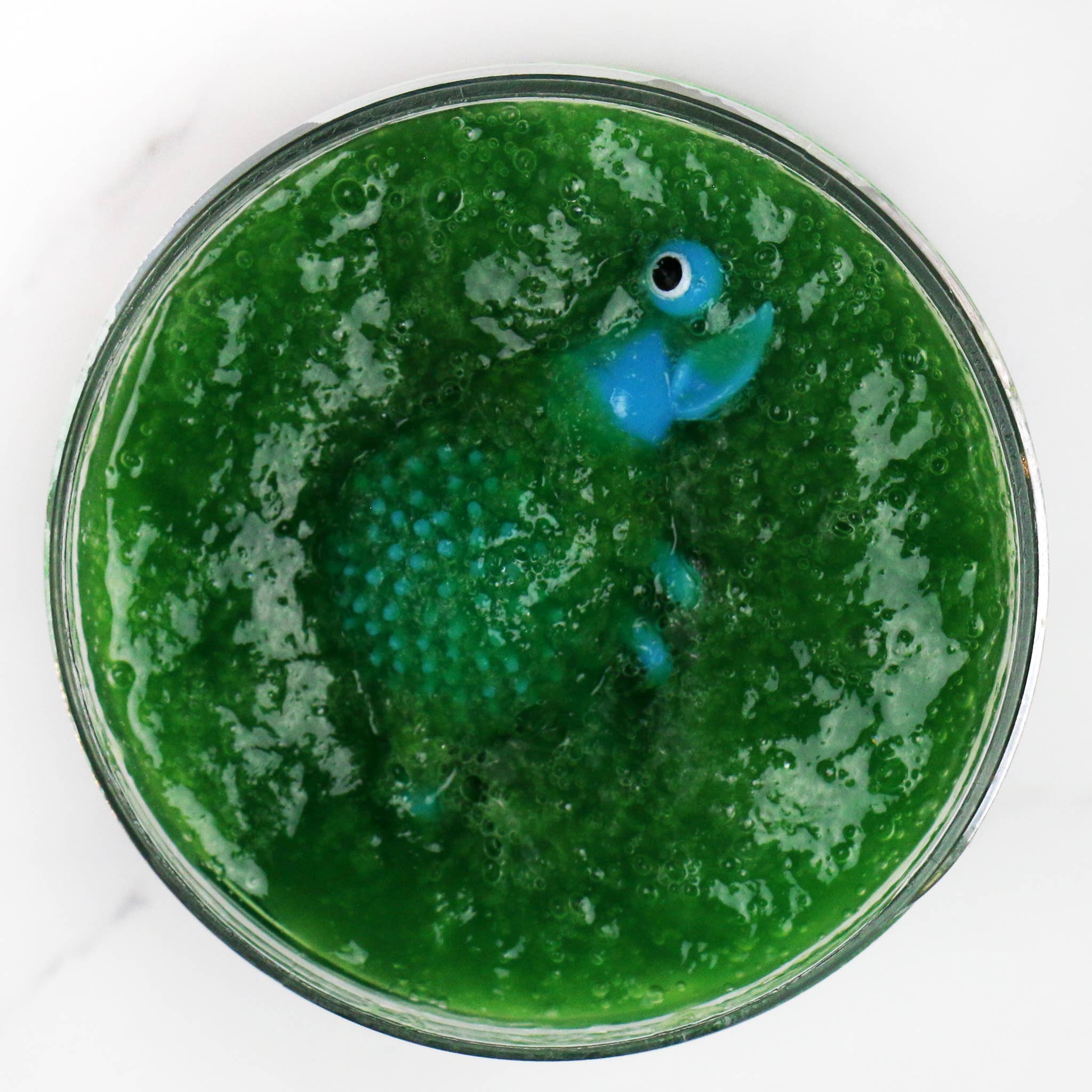 Monster Slime