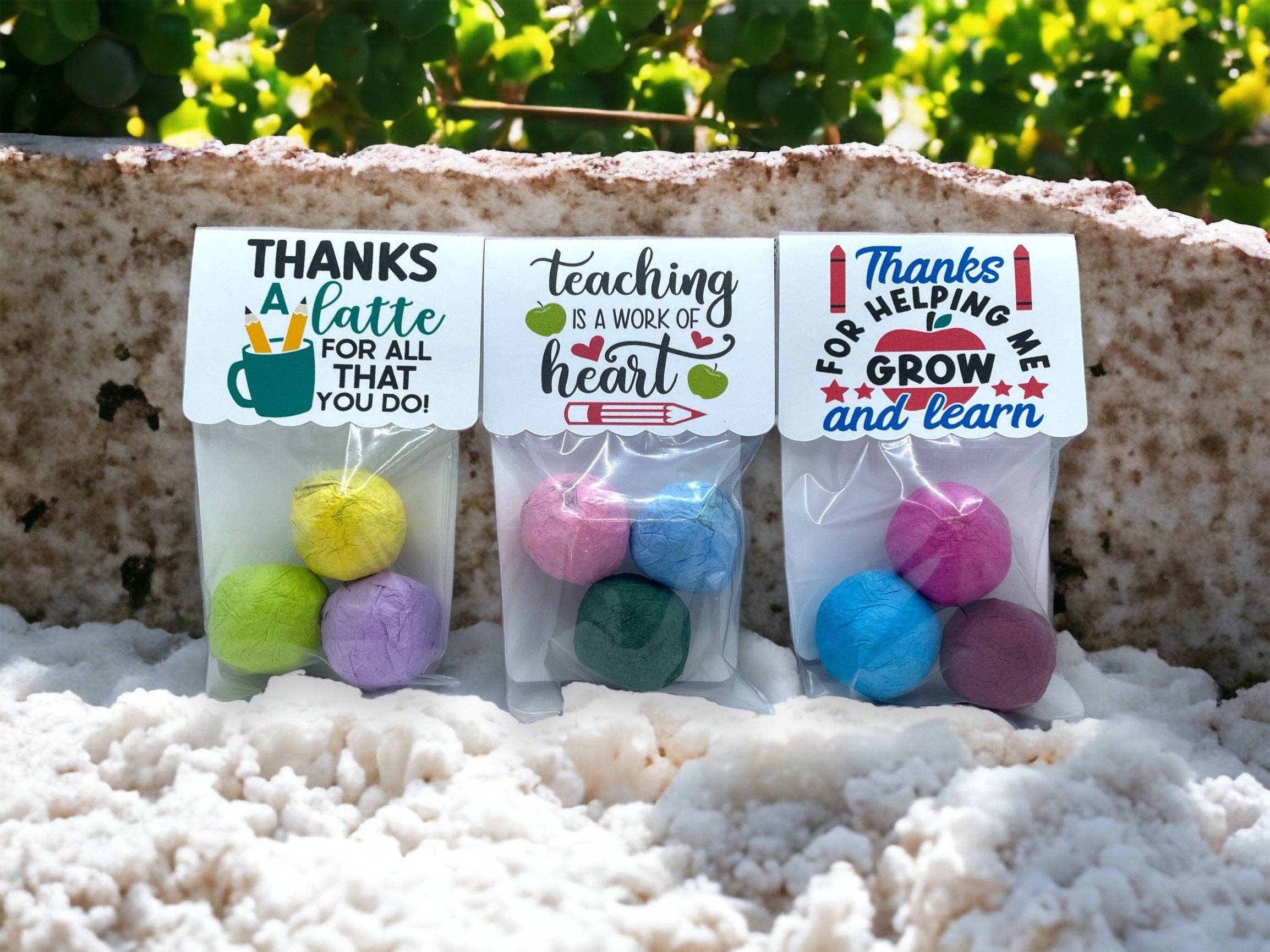 Seed Bombs - Cadeau de remerciement pour un enseignant