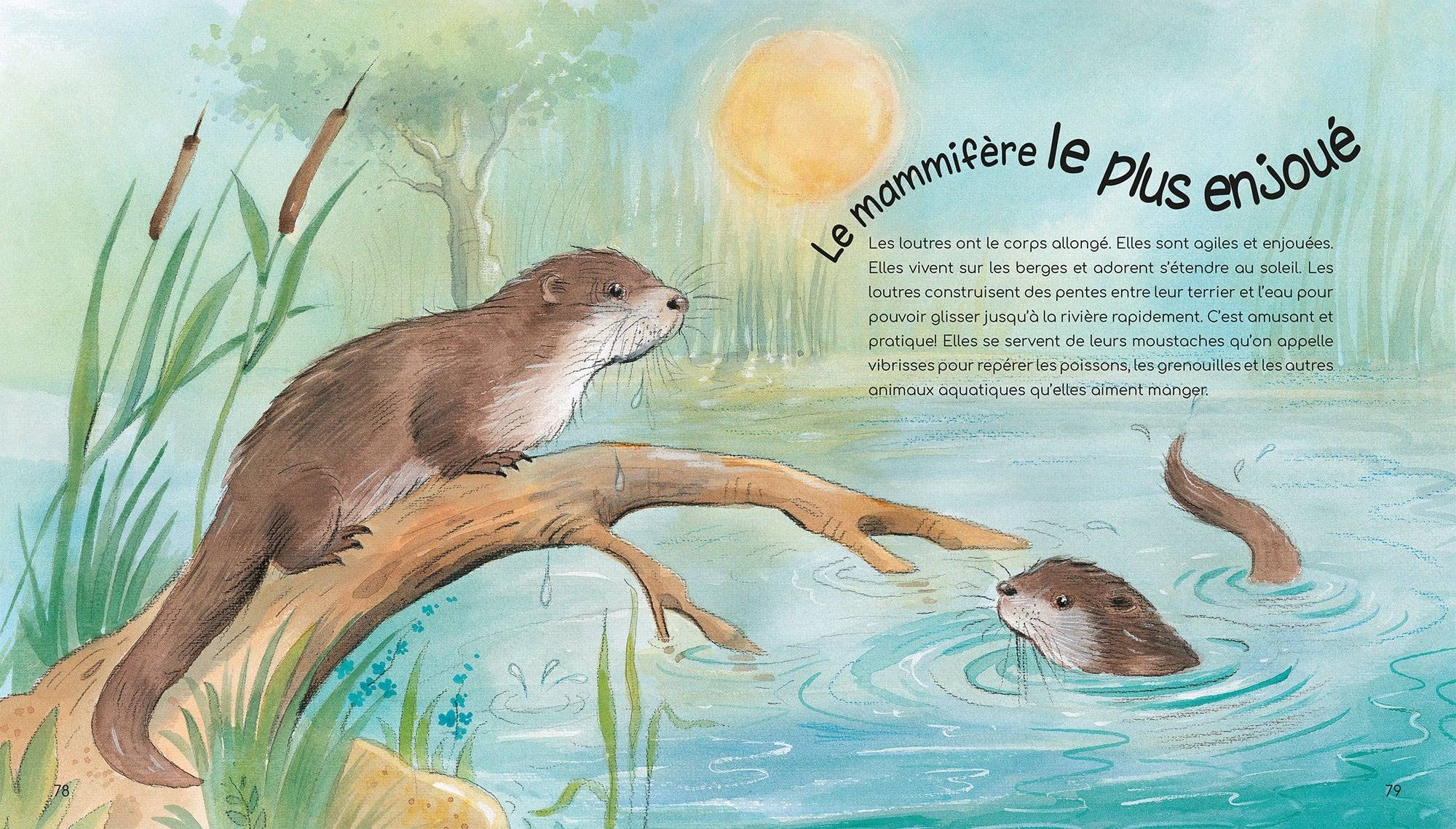 L'INCROYABLE MONDE DES ANIMAUX - POUR BIEN GRANDIR