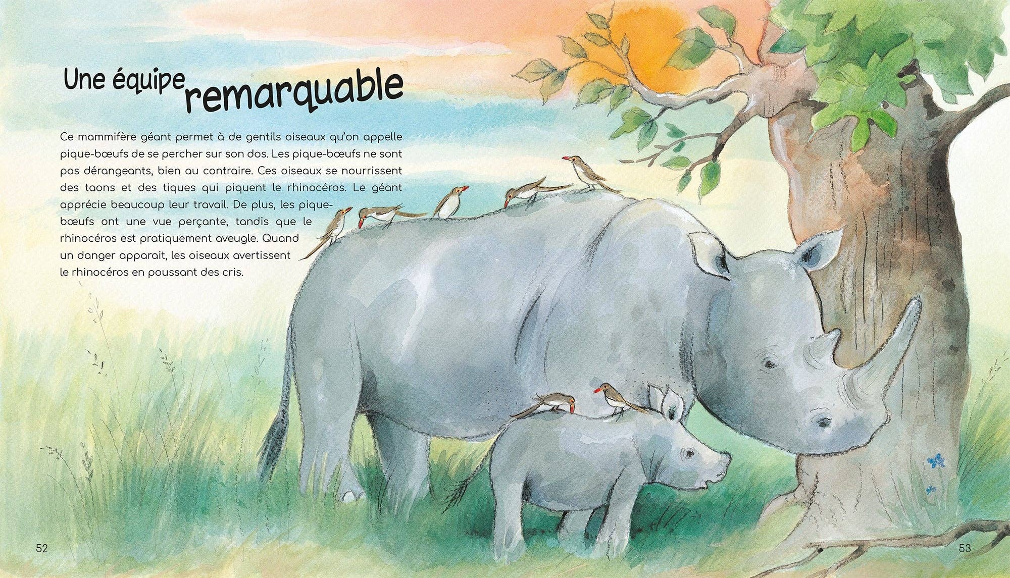 L'INCROYABLE MONDE DES ANIMAUX - POUR BIEN GRANDIR