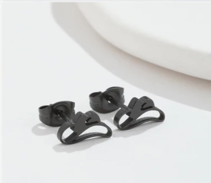 Stainless steel country earrings