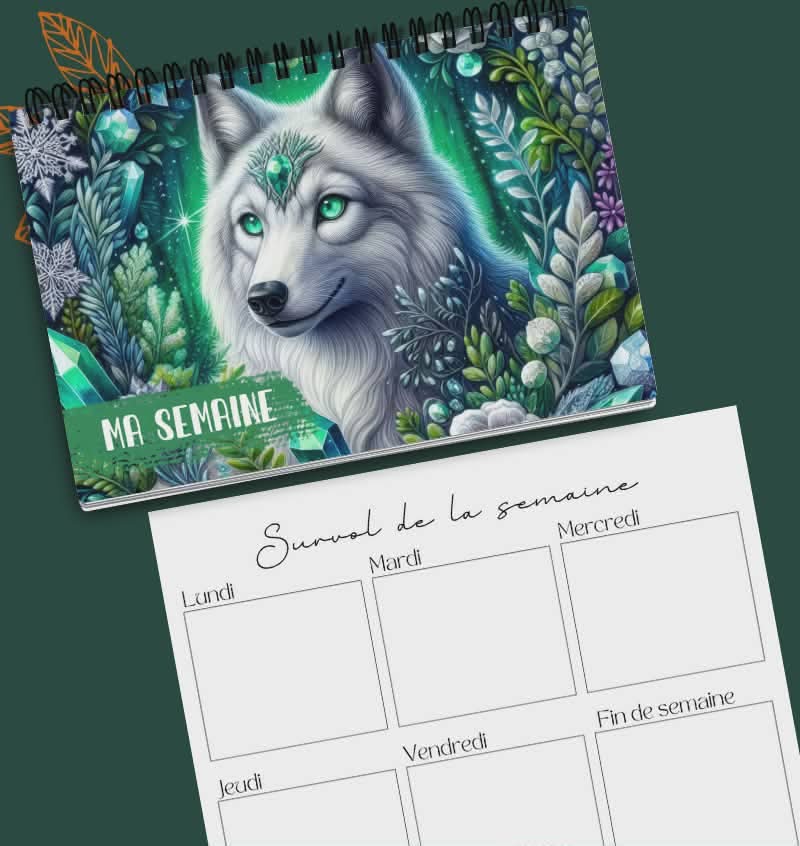 Planificateur hebdomadaire version 2.0