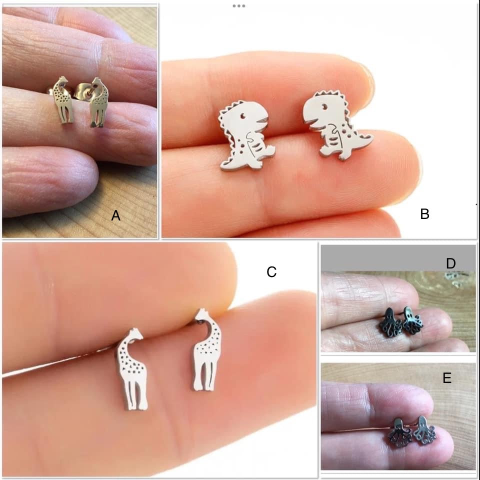 Stainless steel earrings of your choice