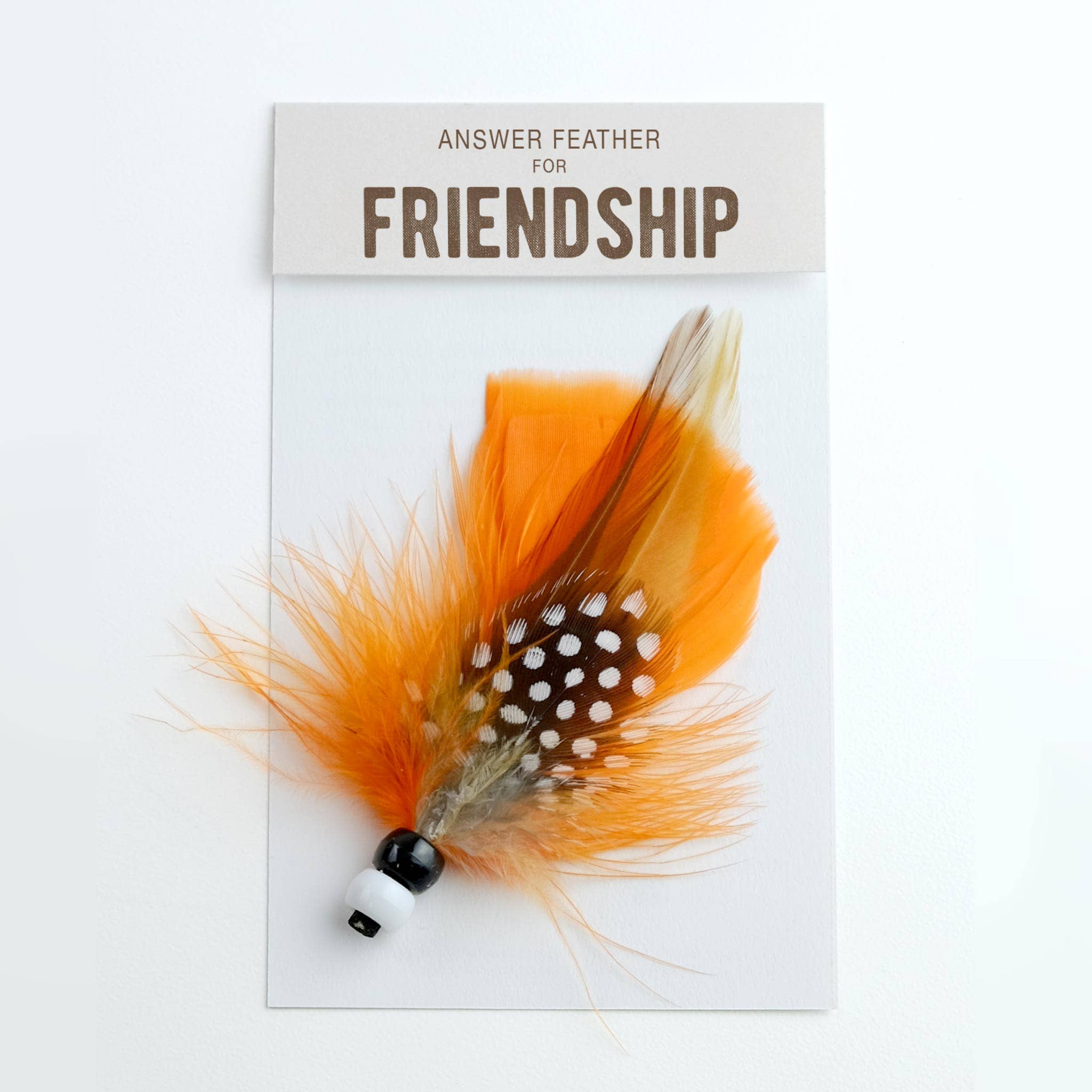 Répondre Feather for Friendship