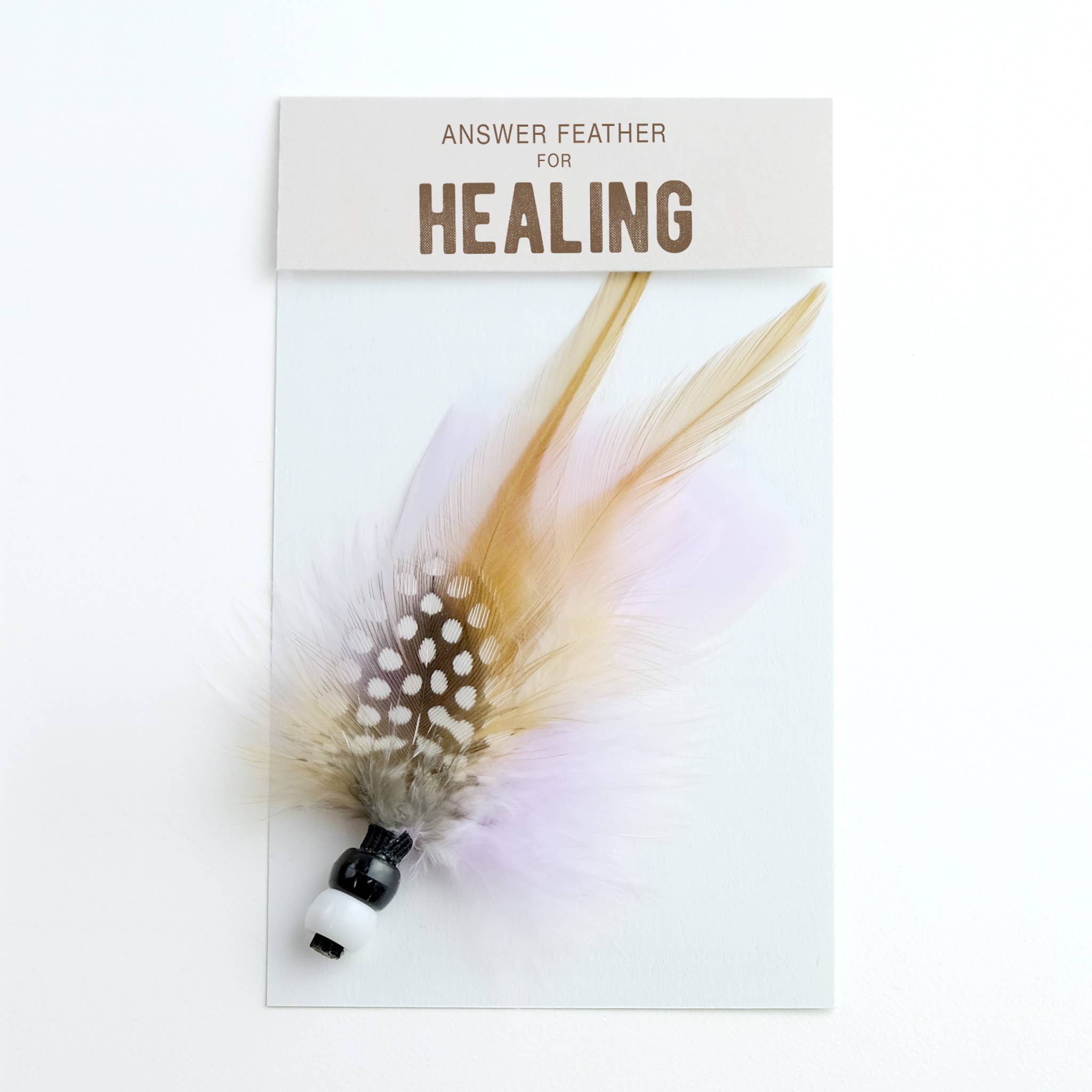 Répondre Feather for Healing