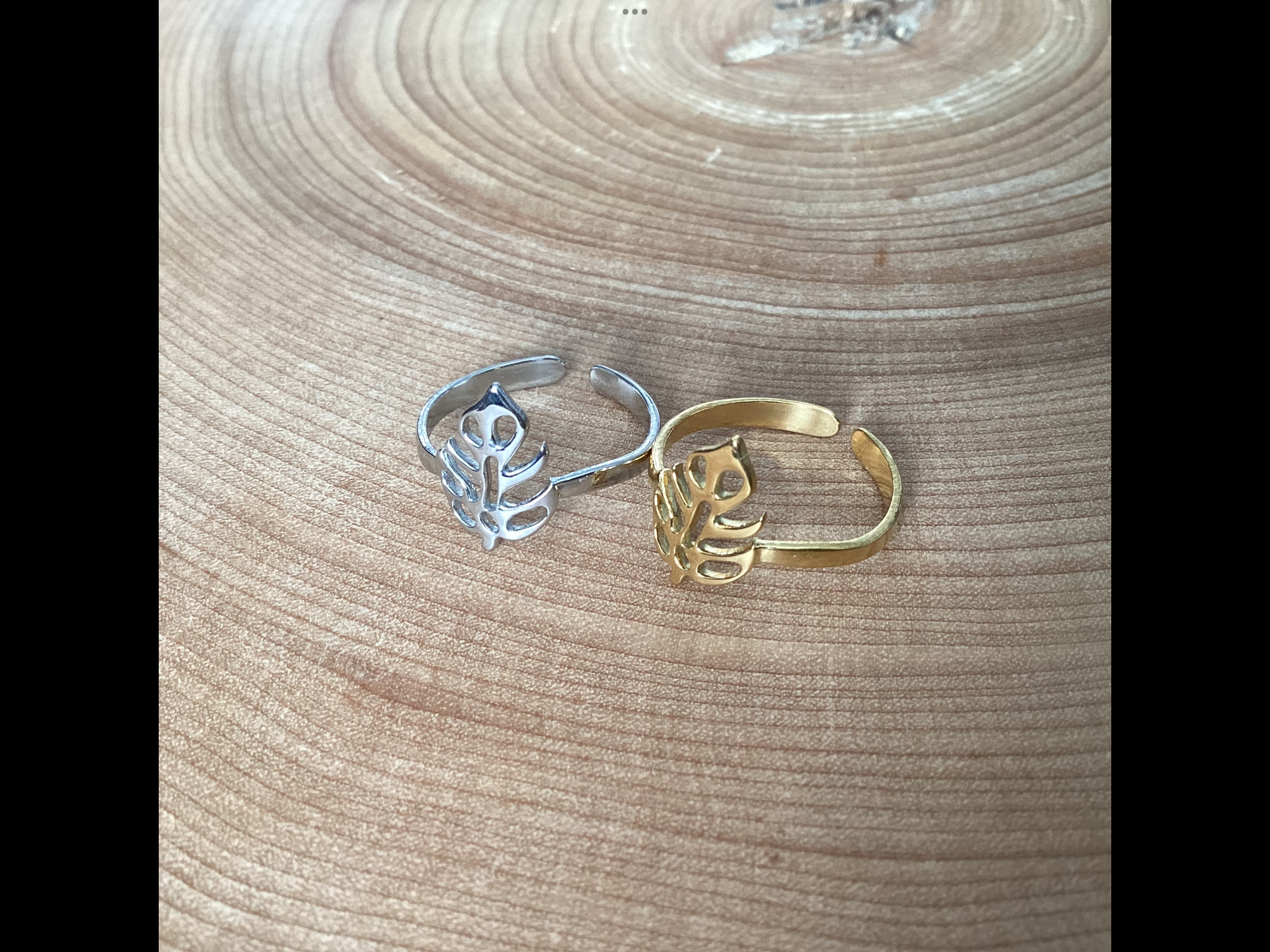 Adjustable stainless steel ring of your choice