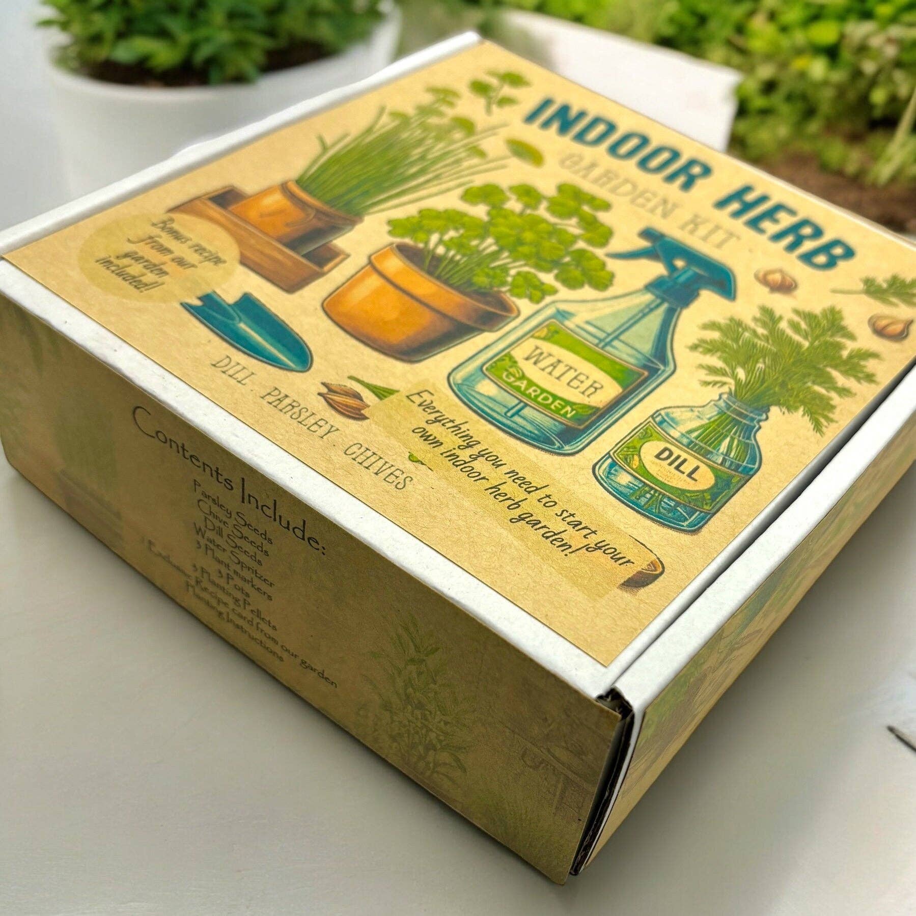 Kit de démarrage pour jardin d'herbes aromatiques d'intérieur avec graines de persil, de ciboulette et d'aneth