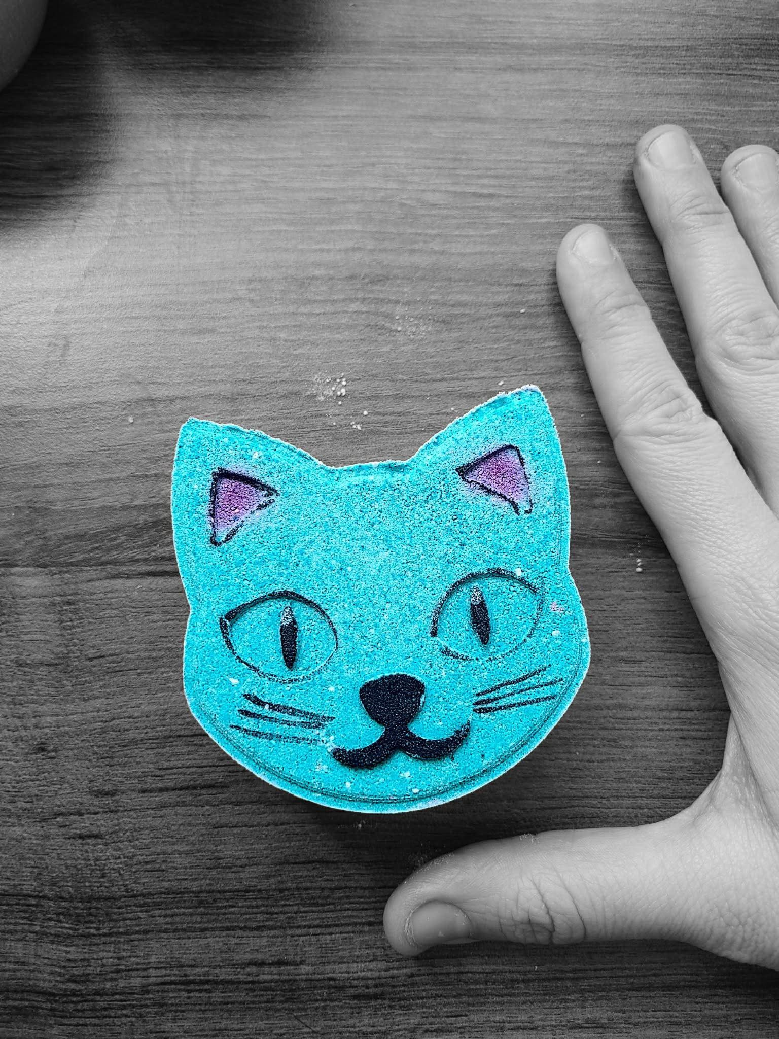 Bombe chat PRÉCOMMANDE