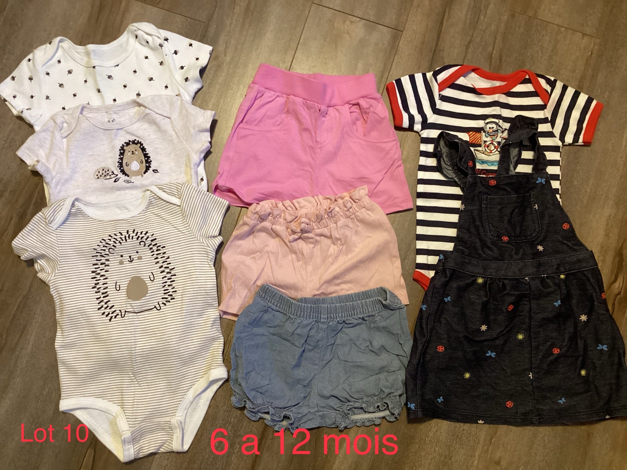 Lot 10. 6 à 12 mois
