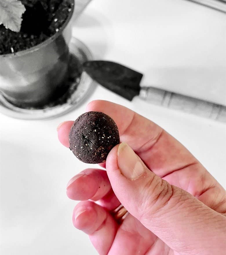 Bombes à graines - Kits de bricolage