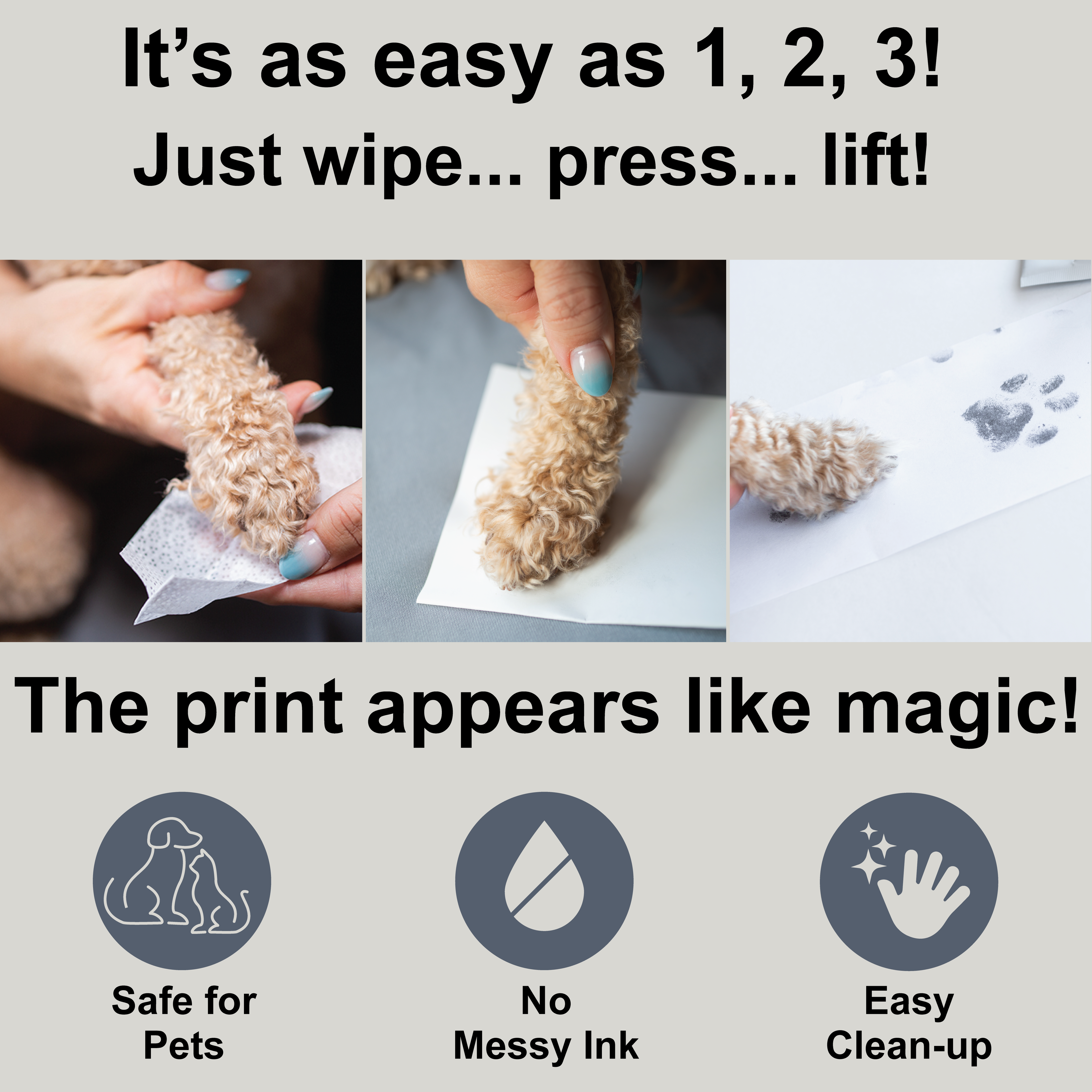 Kit d'Empreintes de Pattes Sans Encre