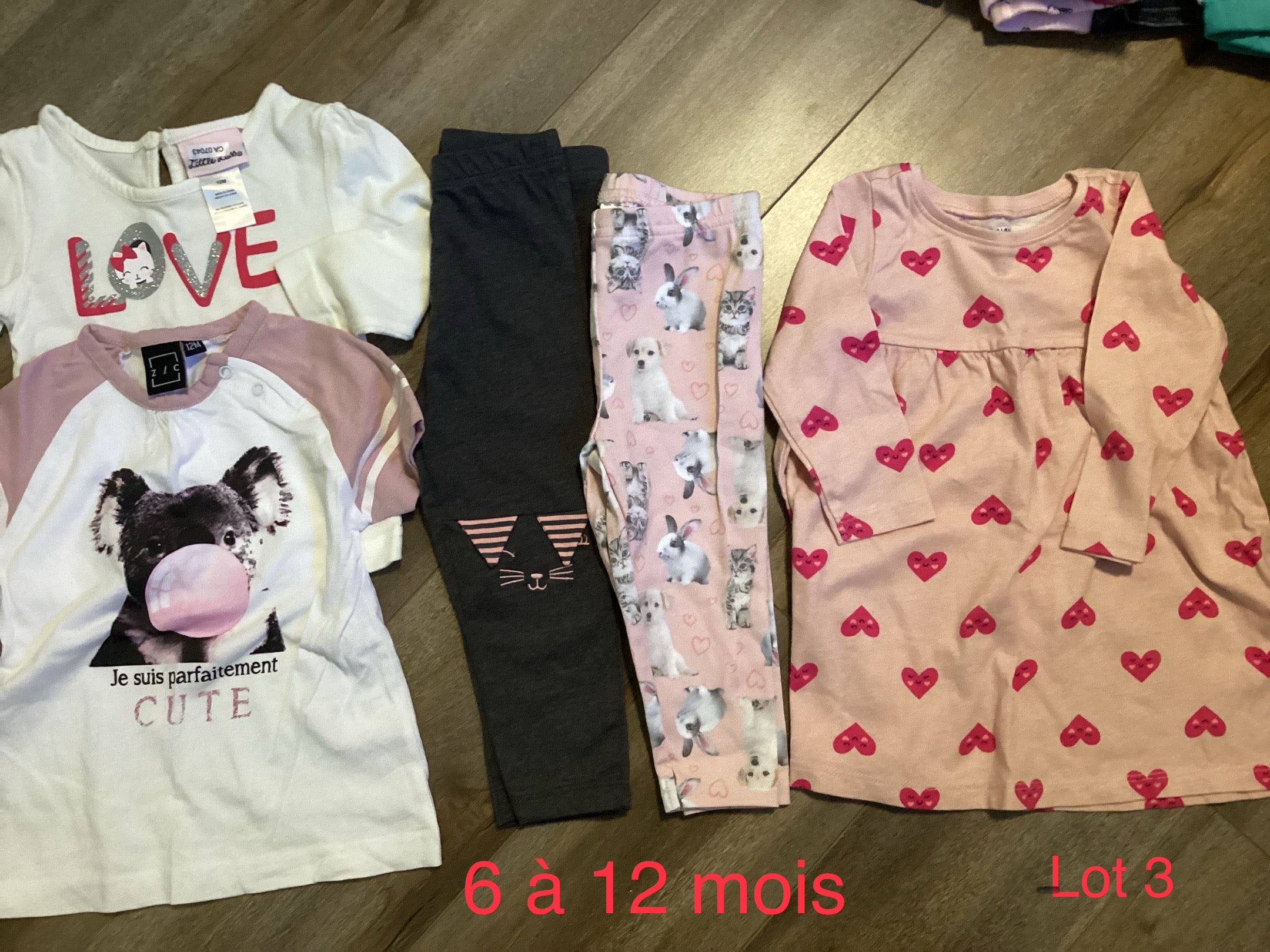 Lot 3. 6 a 12 mois
