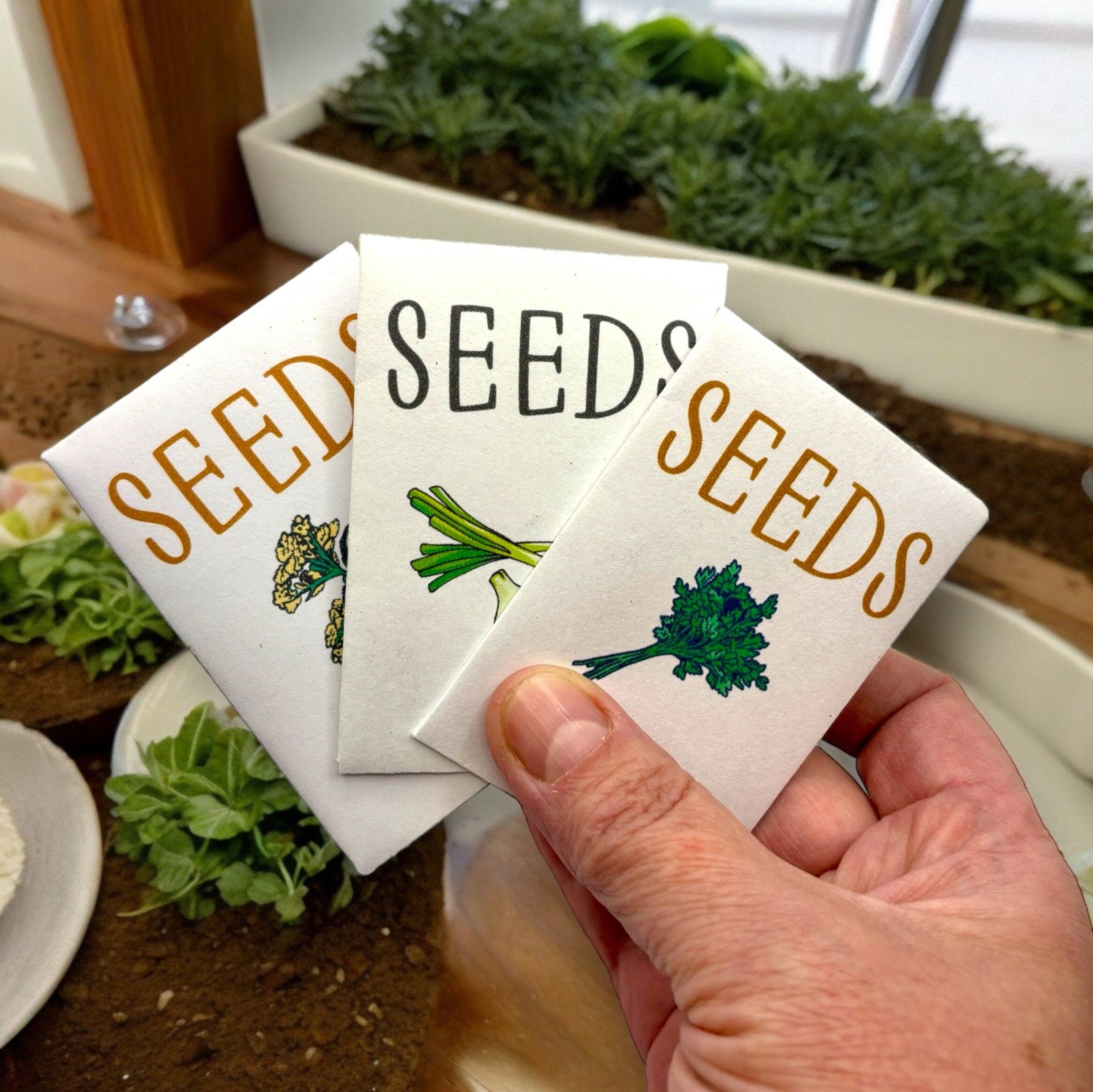 Kit de démarrage pour jardin d'herbes aromatiques d'intérieur avec graines de persil, de ciboulette et d'aneth