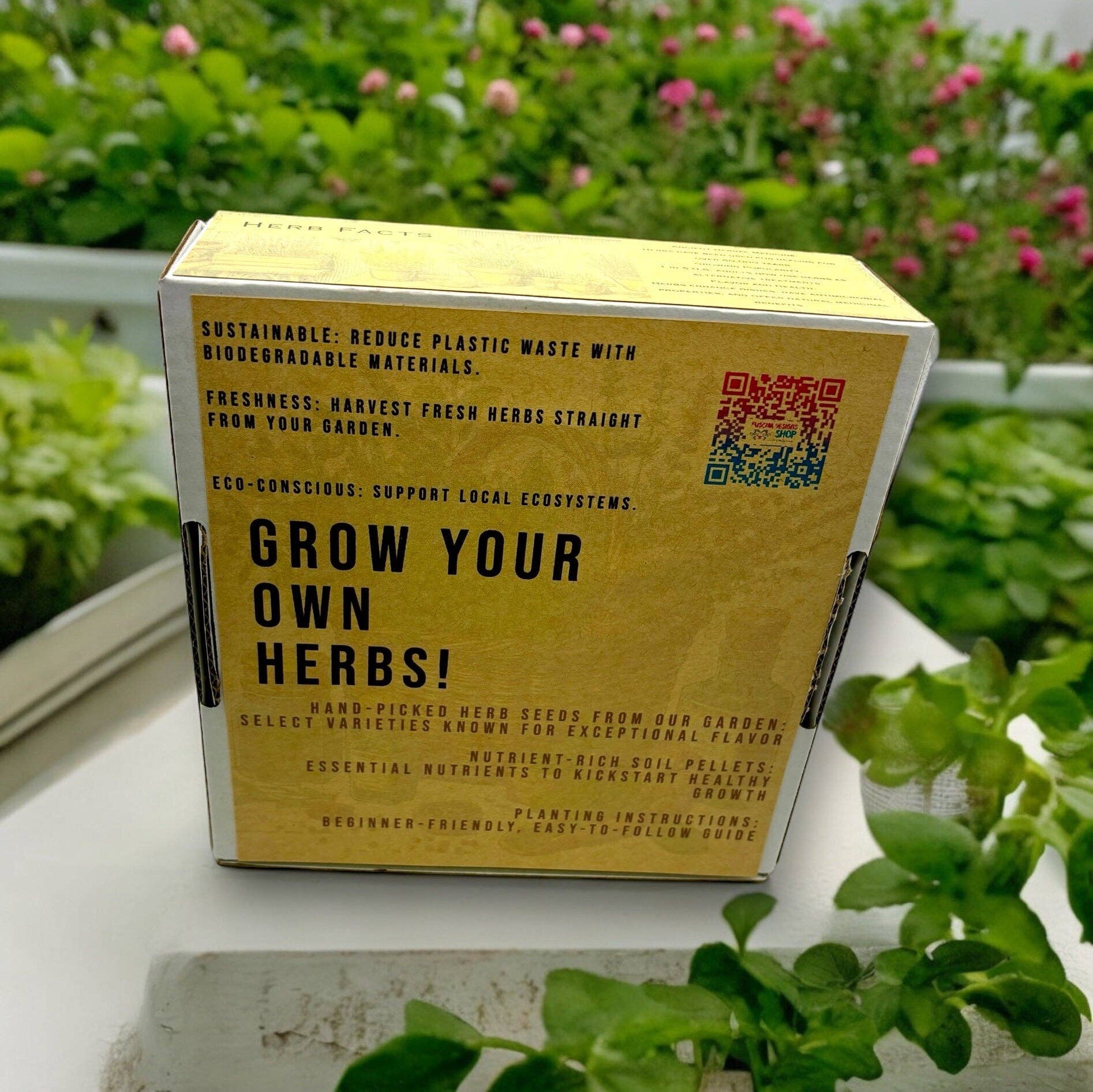 Kit de démarrage pour jardin d'herbes aromatiques d'intérieur avec graines de persil, de ciboulette et d'aneth
