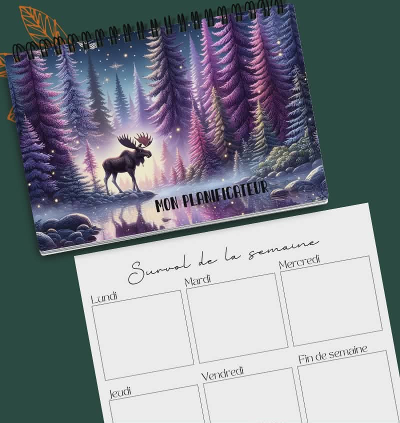 Planificateur hebdomadaire version 2.0