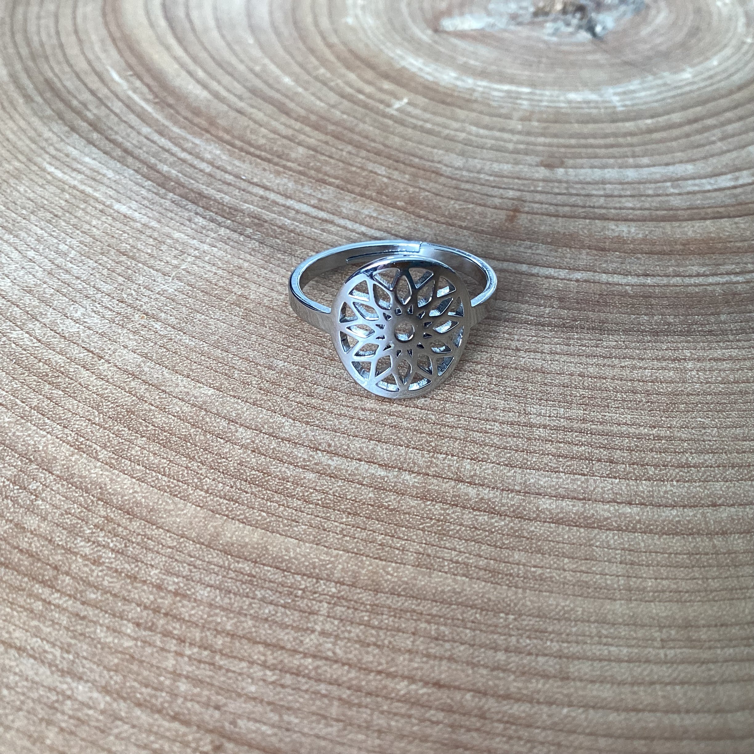 Adjustable stainless steel ring of your choice