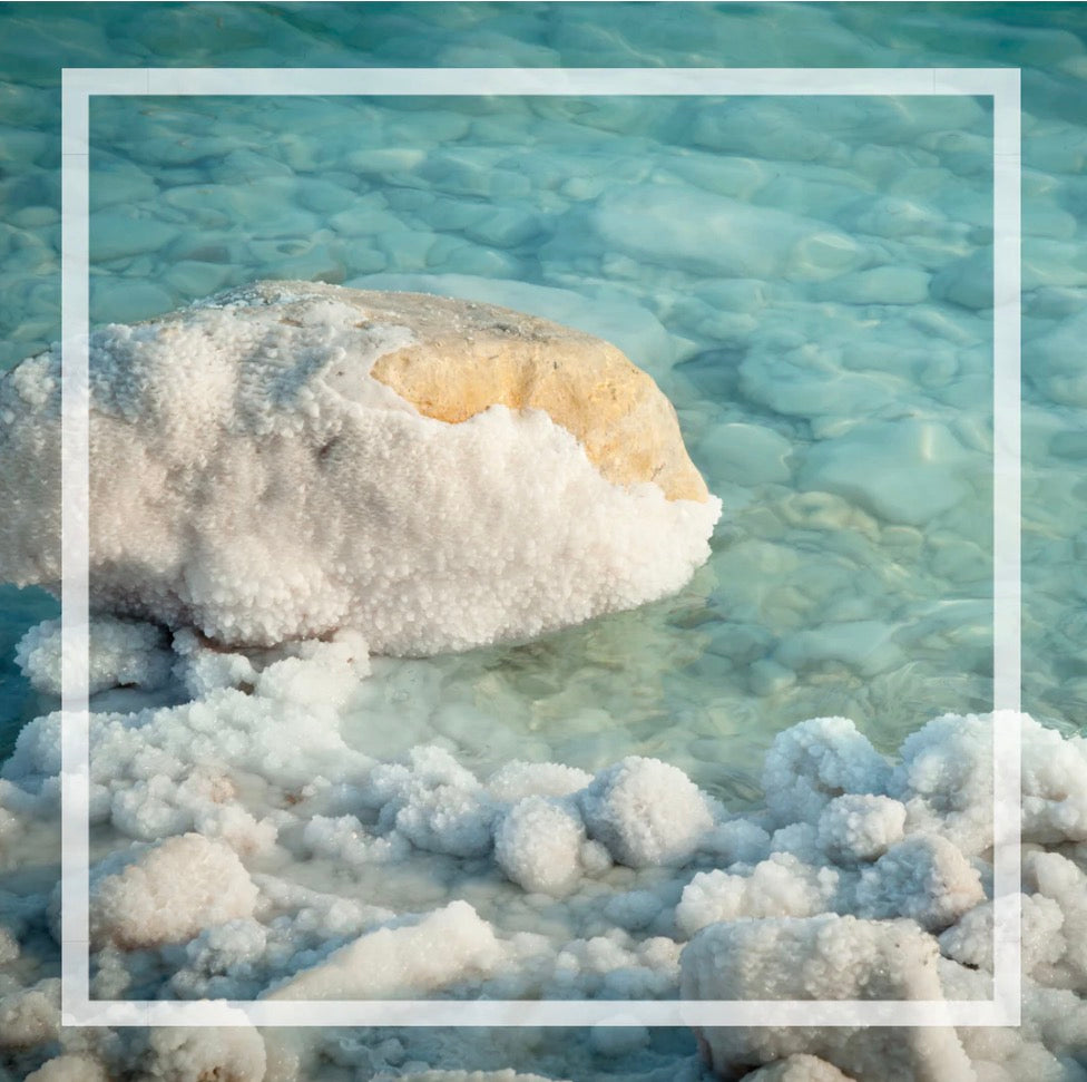 Bruine d'ambiance | Cactus et sel de mer