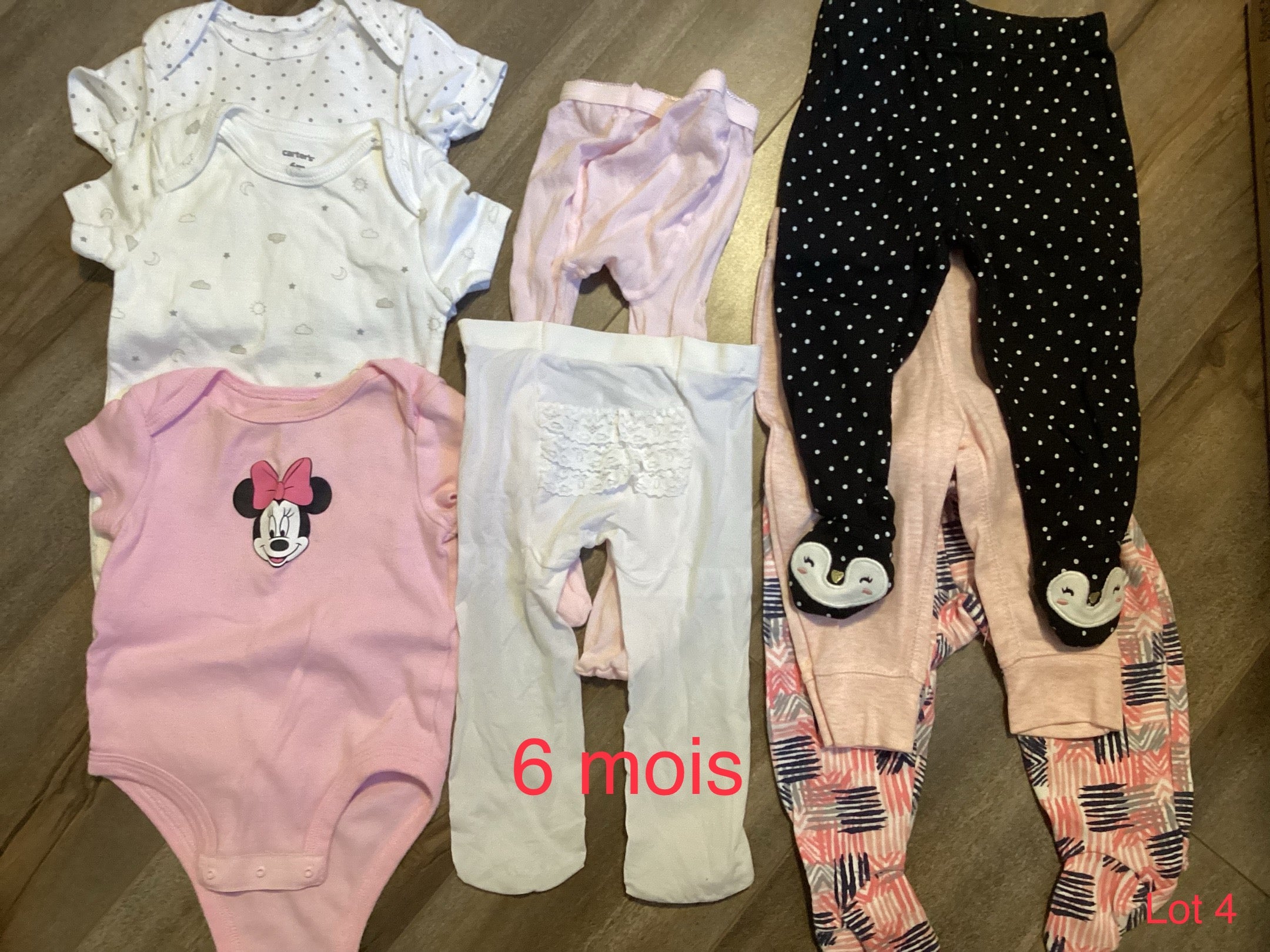 Lot 4. 6 mois