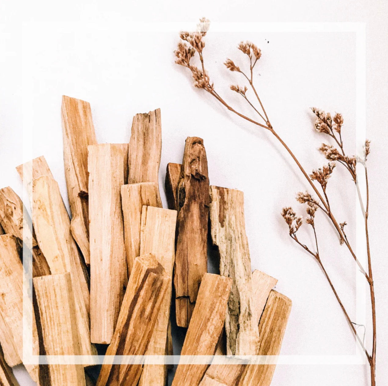 Bruine d'ambiance | Palo Santo