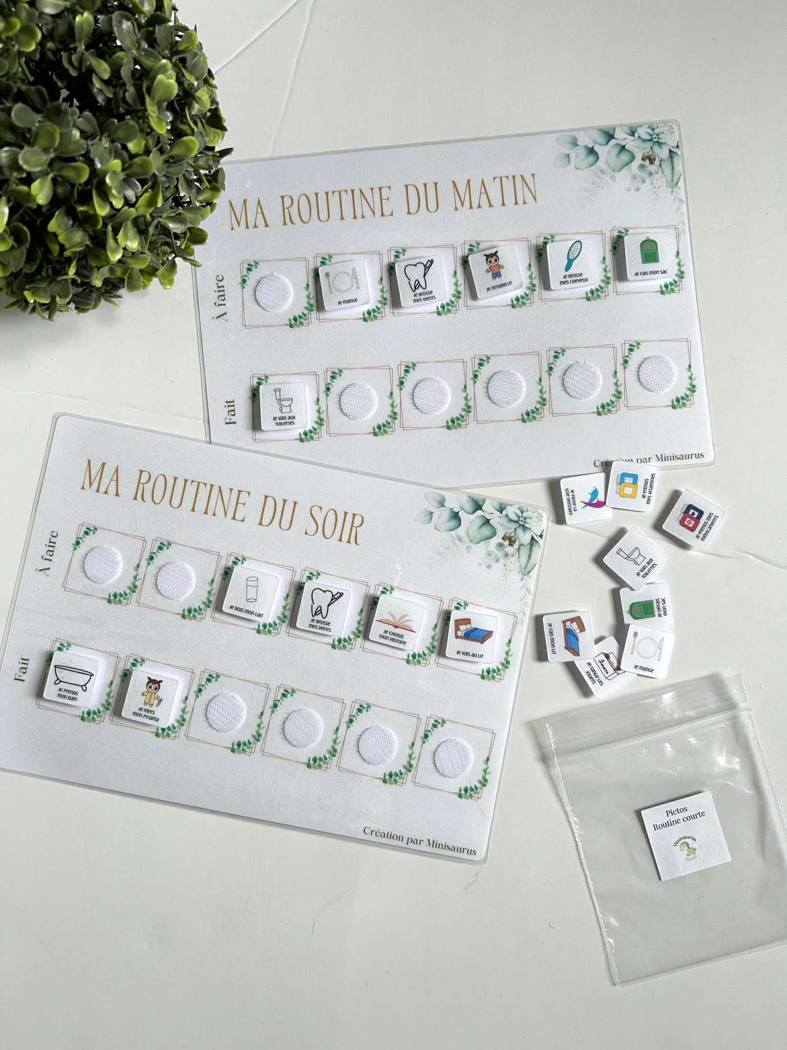 Routine du matin/soir