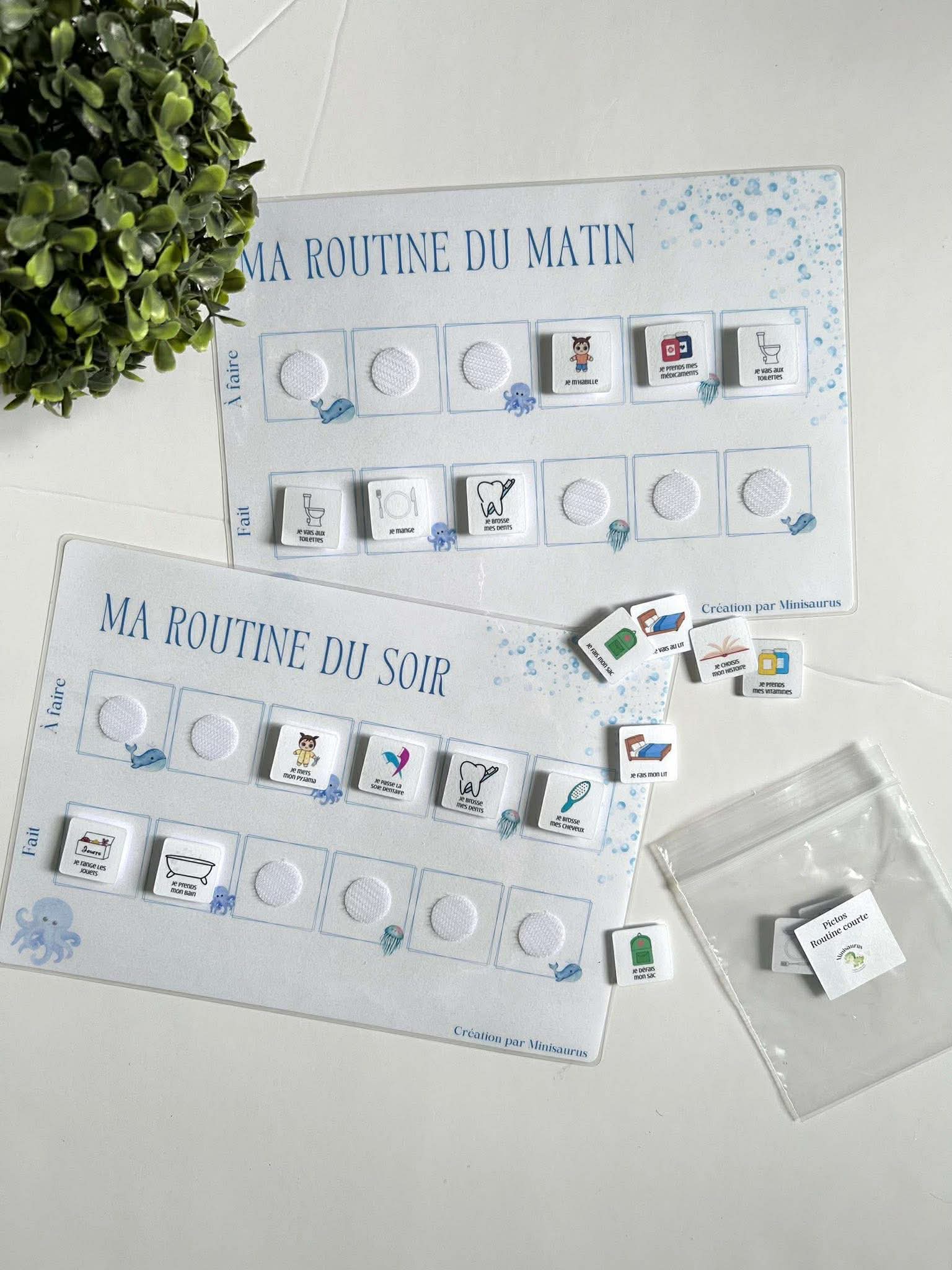 Routine du matin/soir