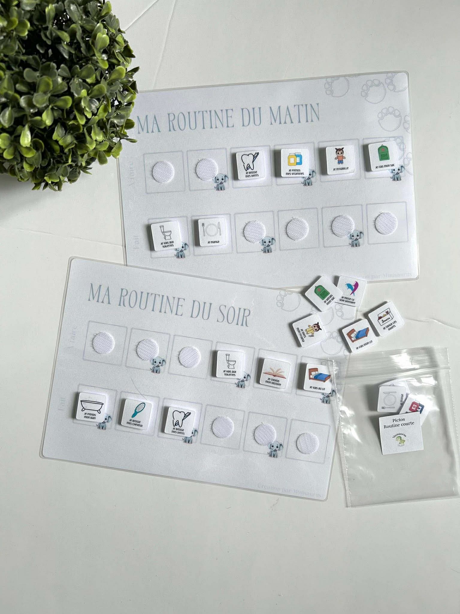 Routine du matin/soir