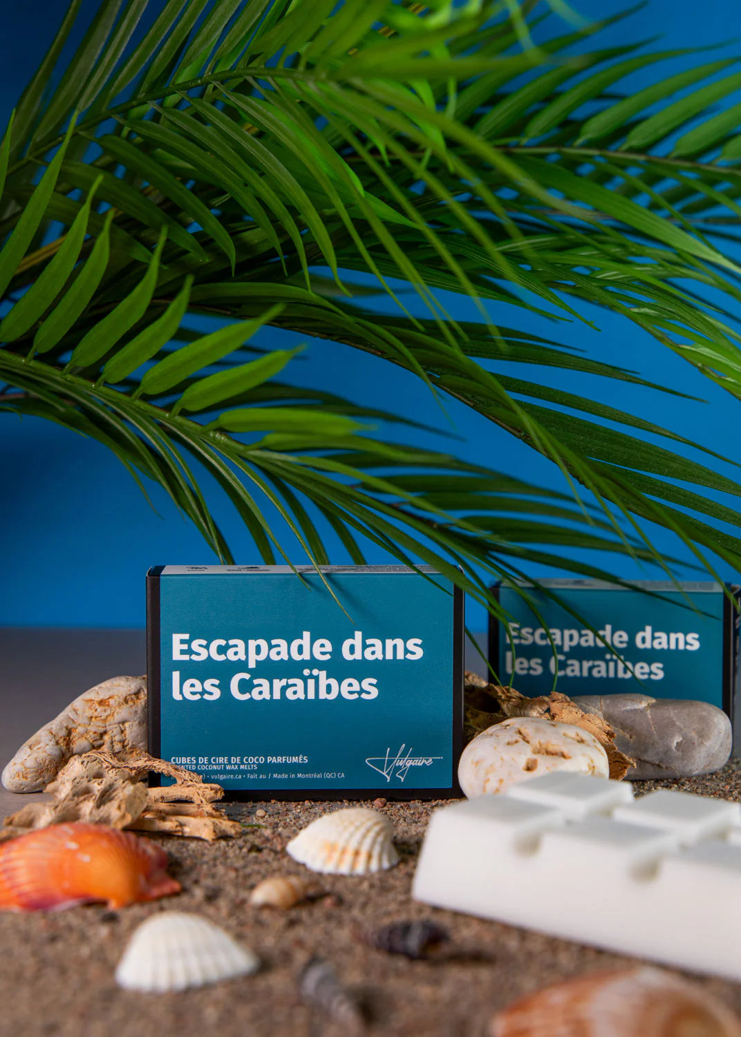 Cubes de cire Escapade dans les Caraïbes 80g.
