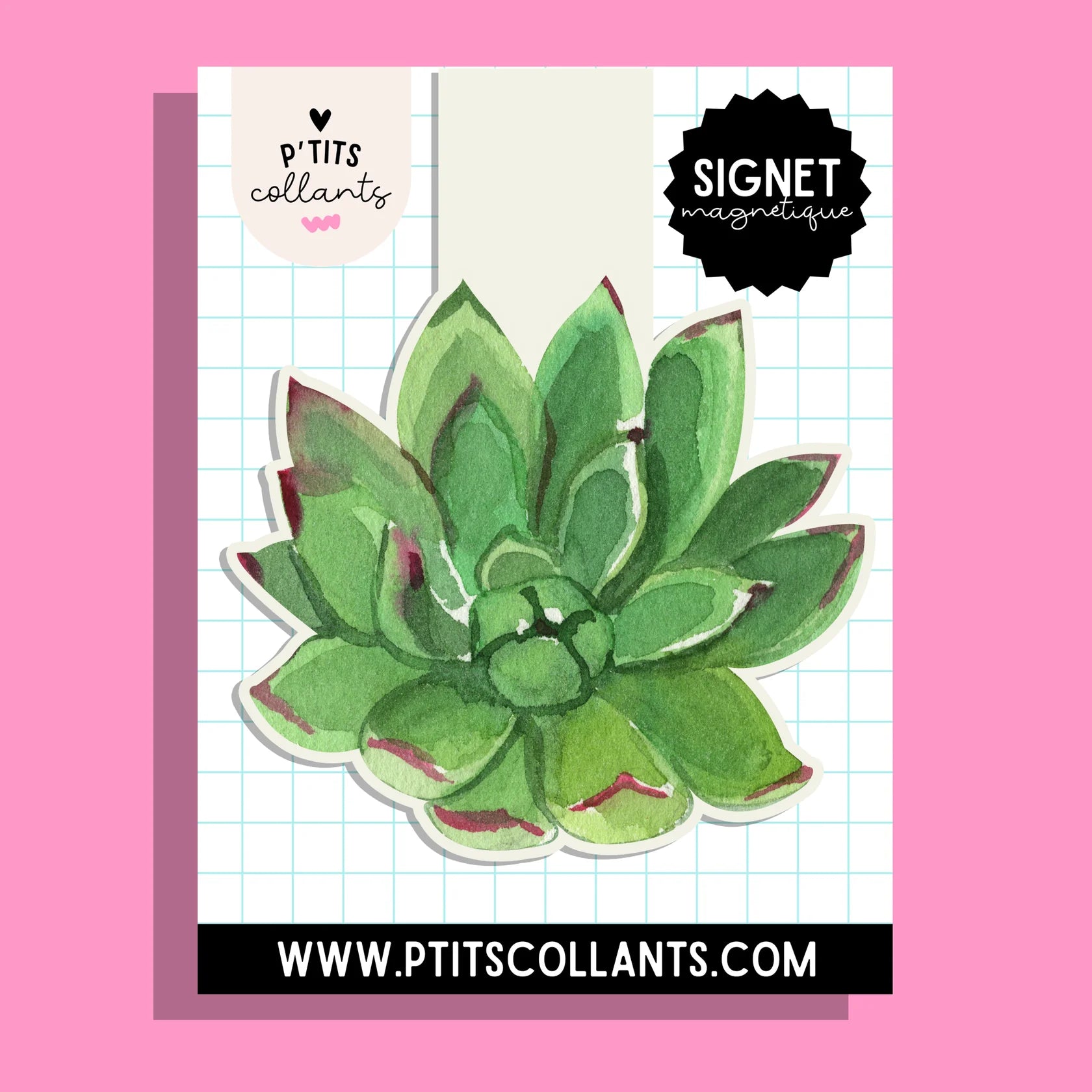 Signet magnétique succulente