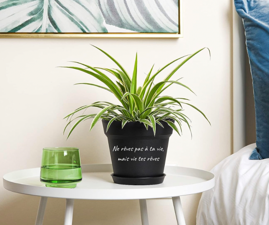 Cache pot / pot pour plante