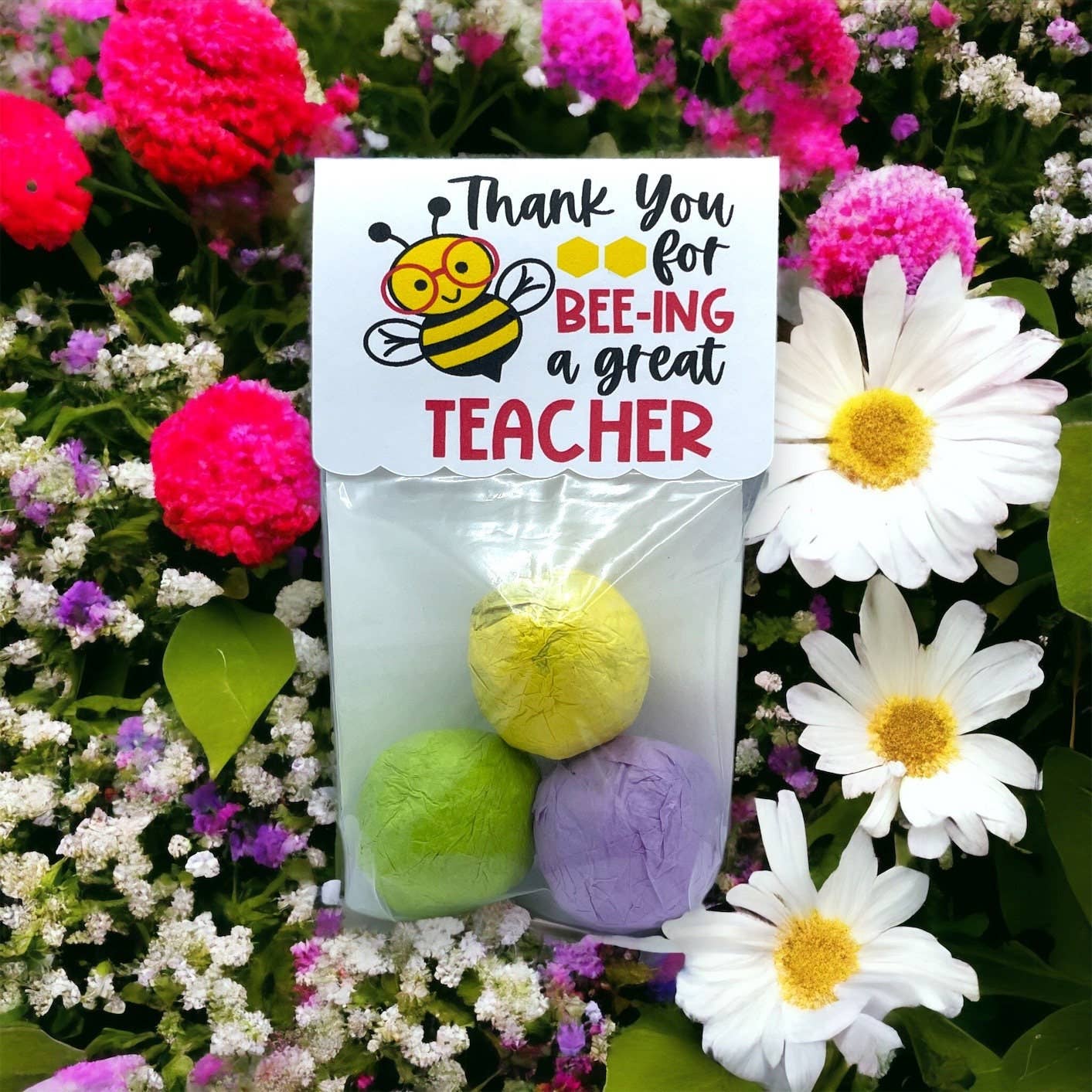 Seed Bombs - Cadeau de remerciement pour un enseignant