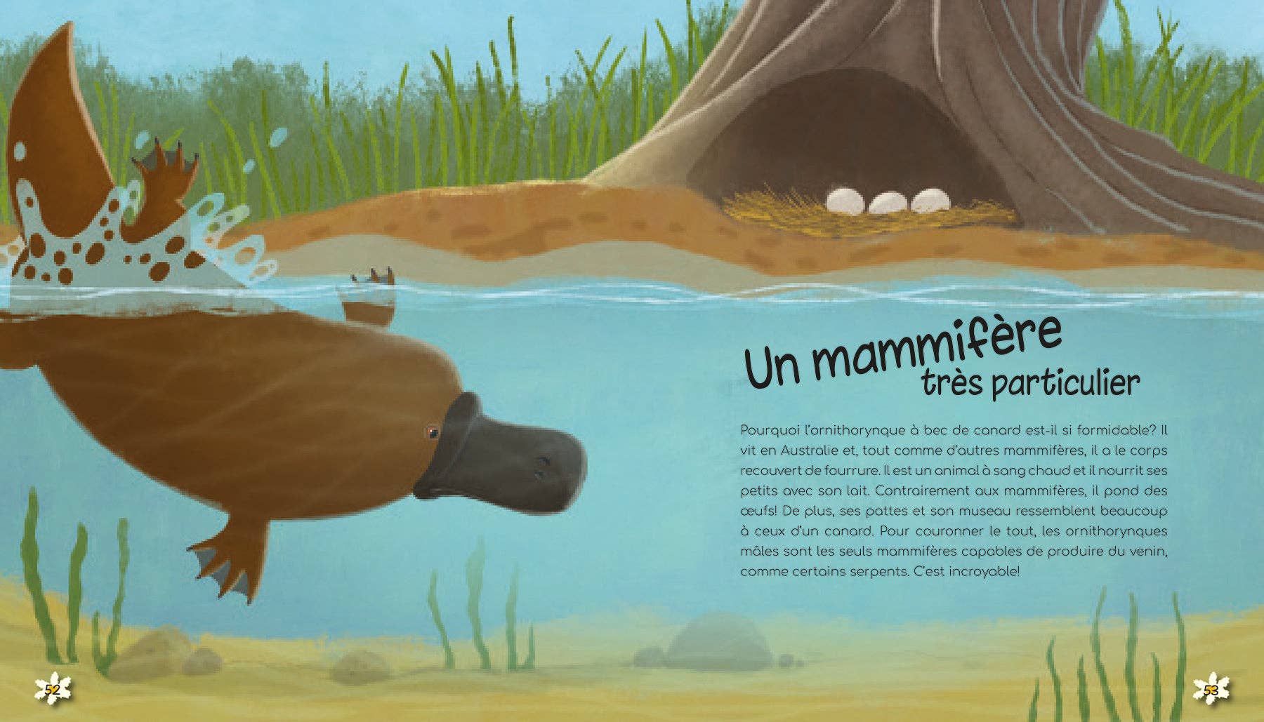 LES MERVEILLES DE LA NATURE - POUR BIEN GRANDIR
