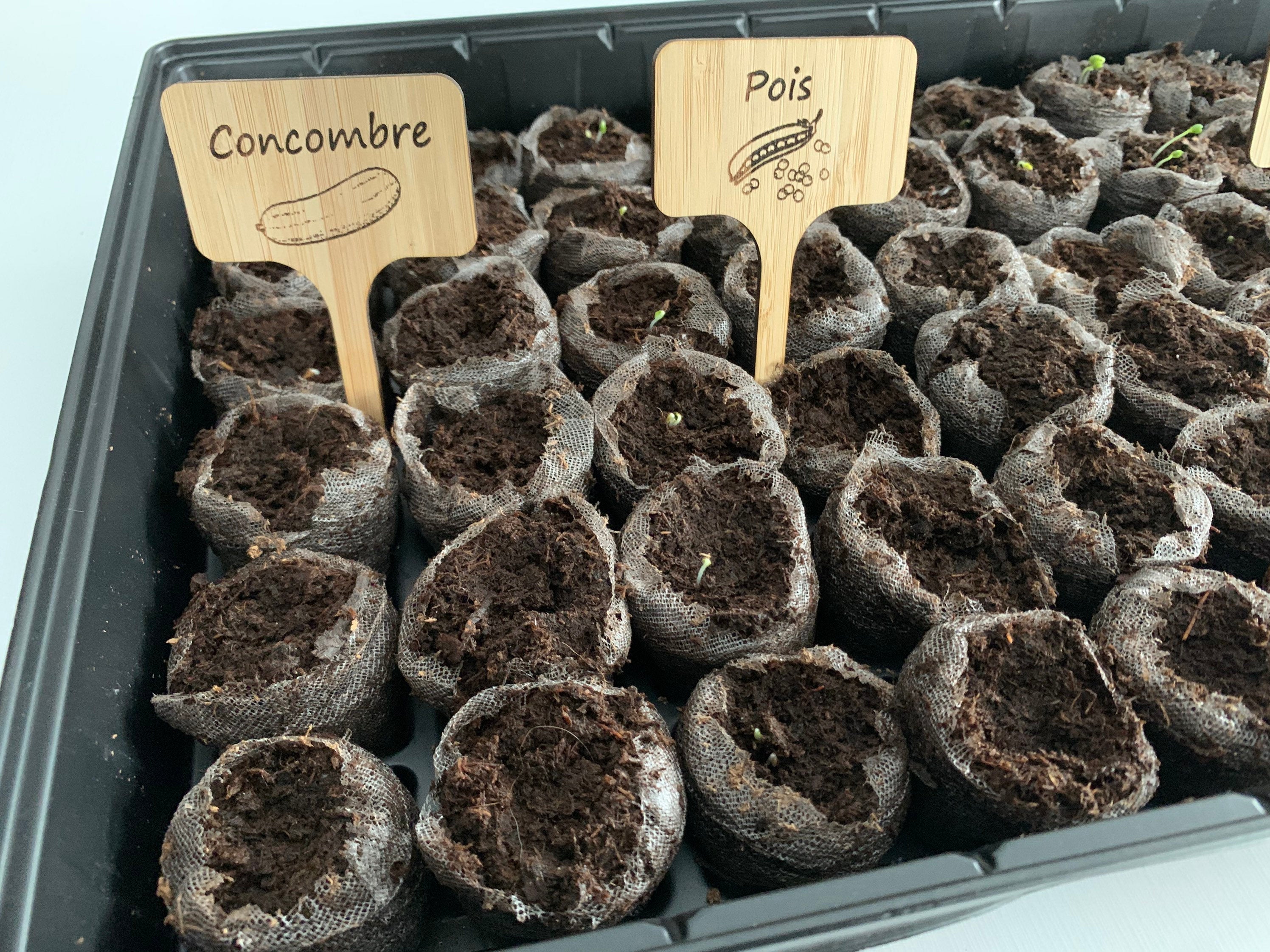 Garden Identifiers