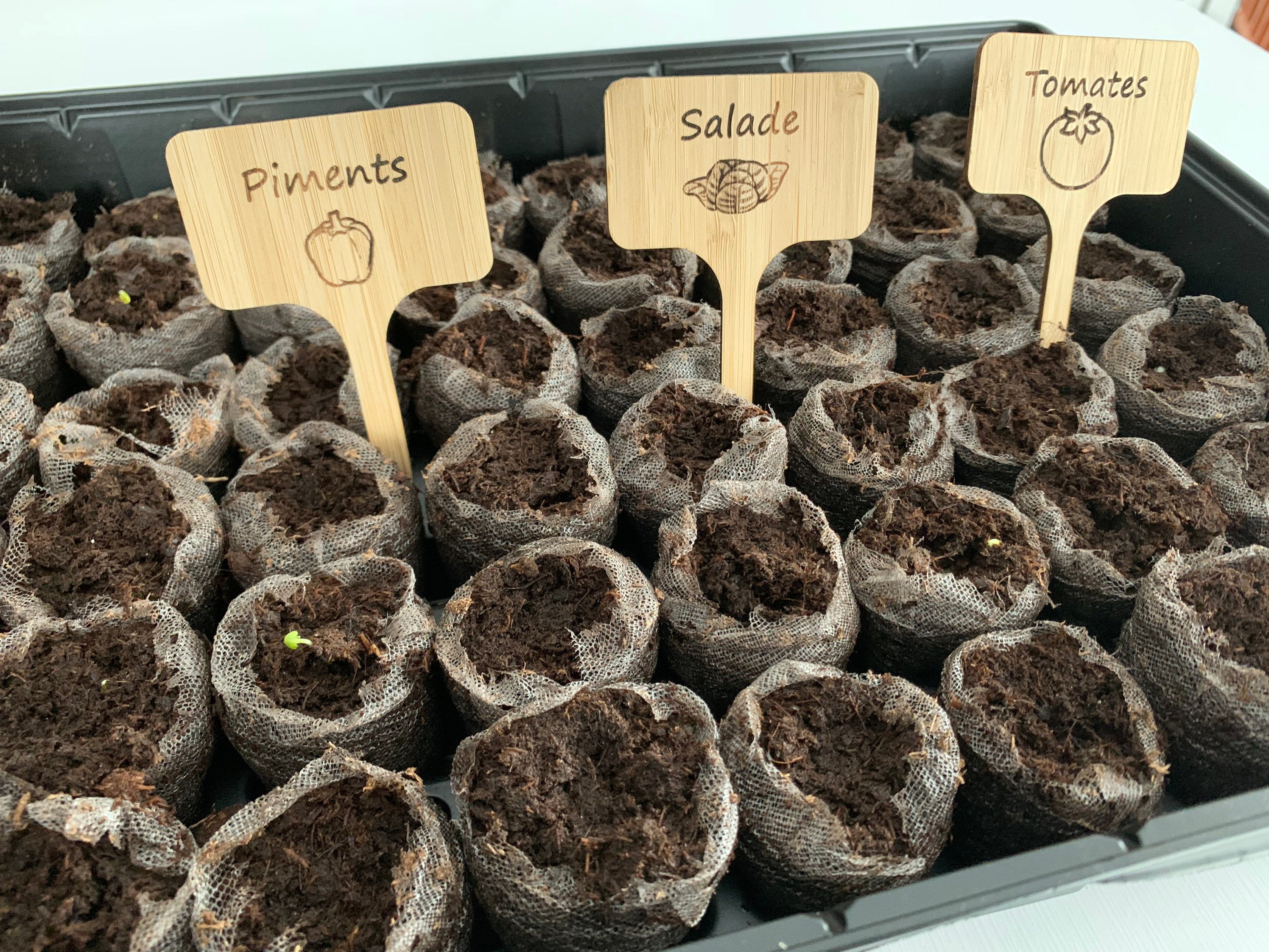 Garden Identifiers