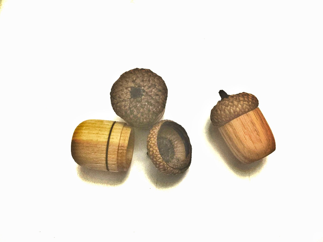 Oak acorn pot