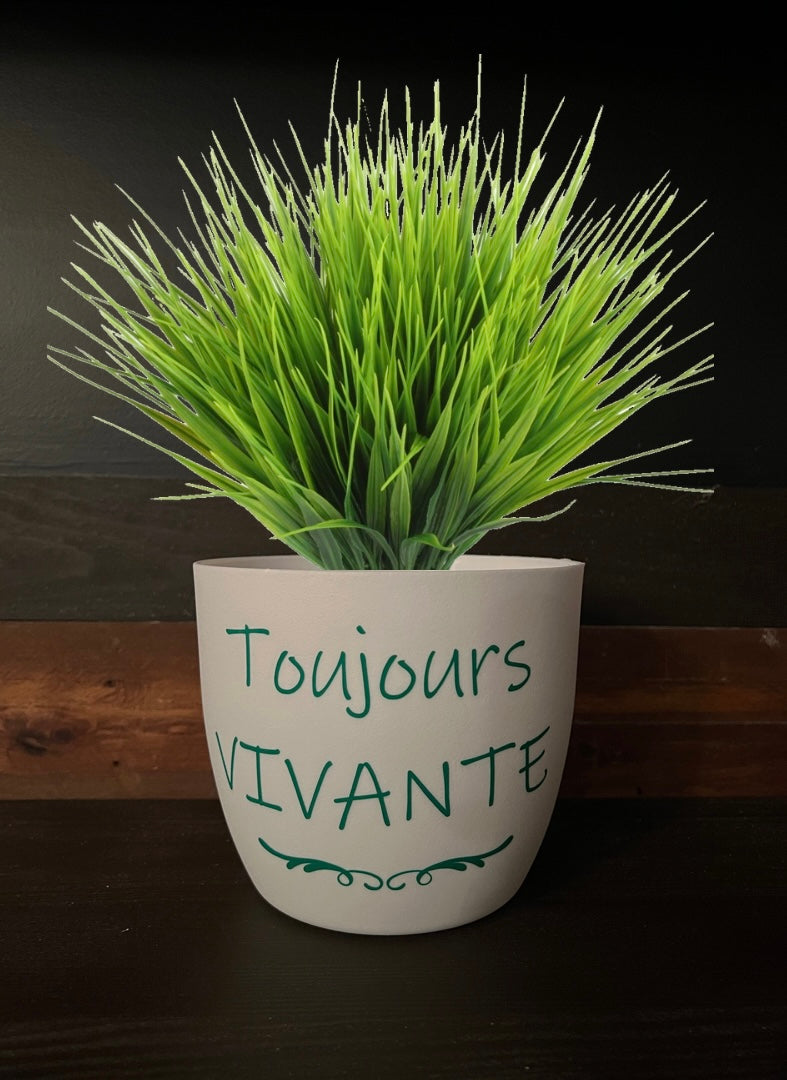 Plant pot
