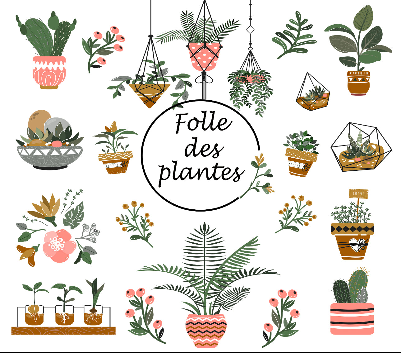 Bouteille plante 🌱