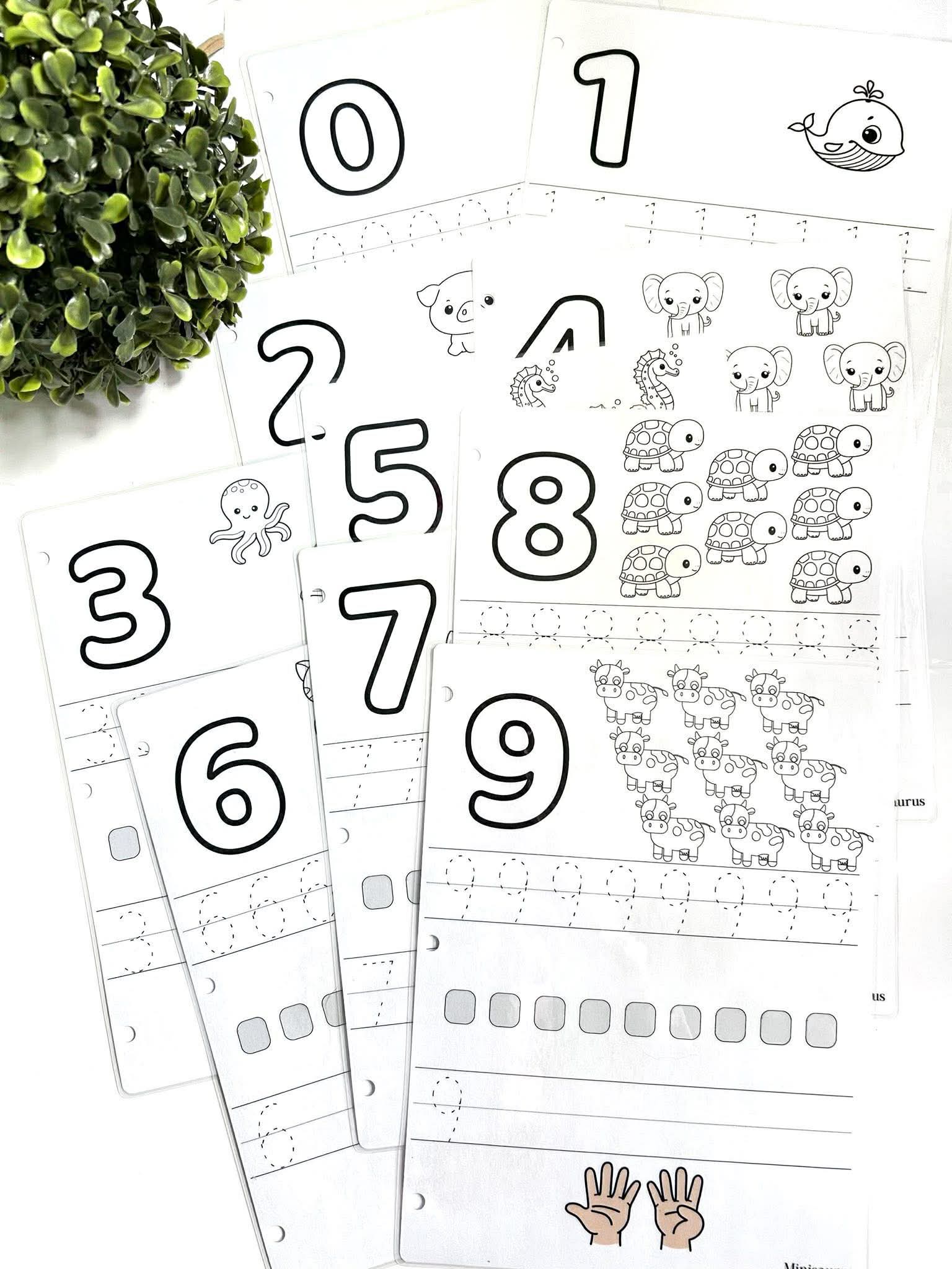 Tableau activités des chiffres