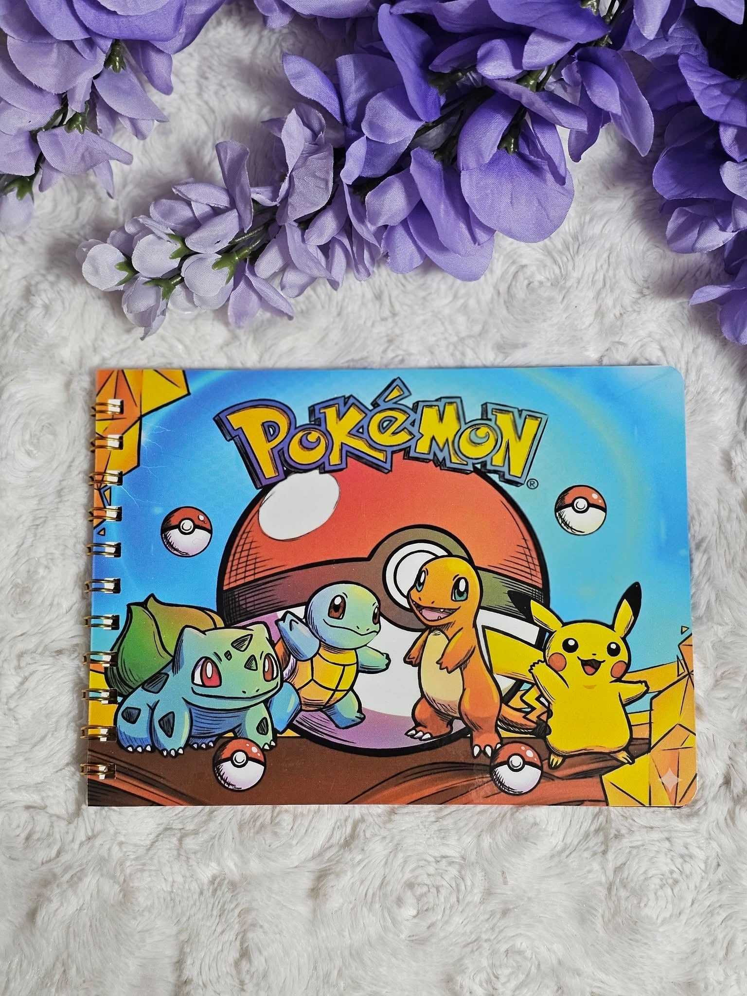 Livre de dessin combattants