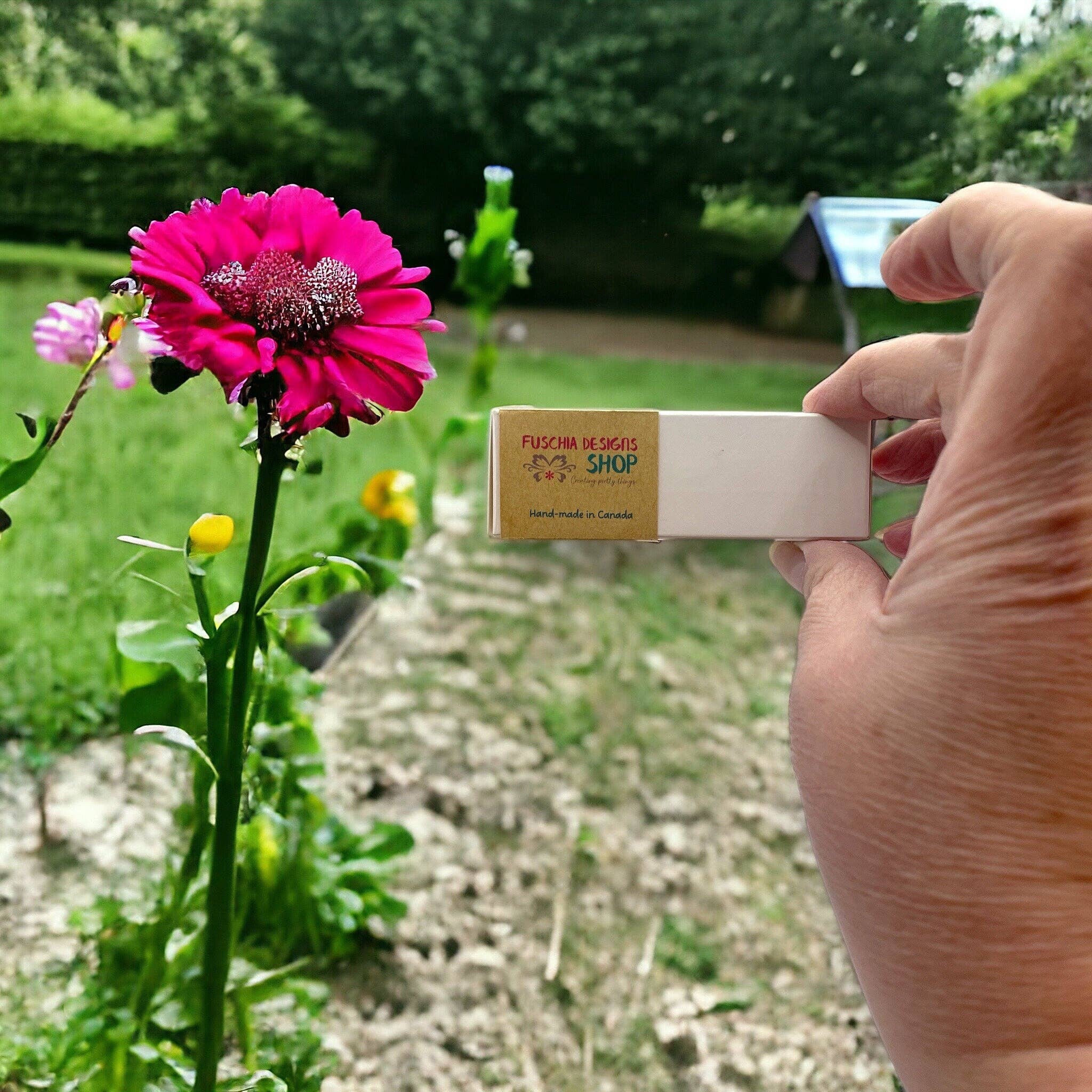 Lot de 6 bombes à graines - Fleurs sauvages canadiennes