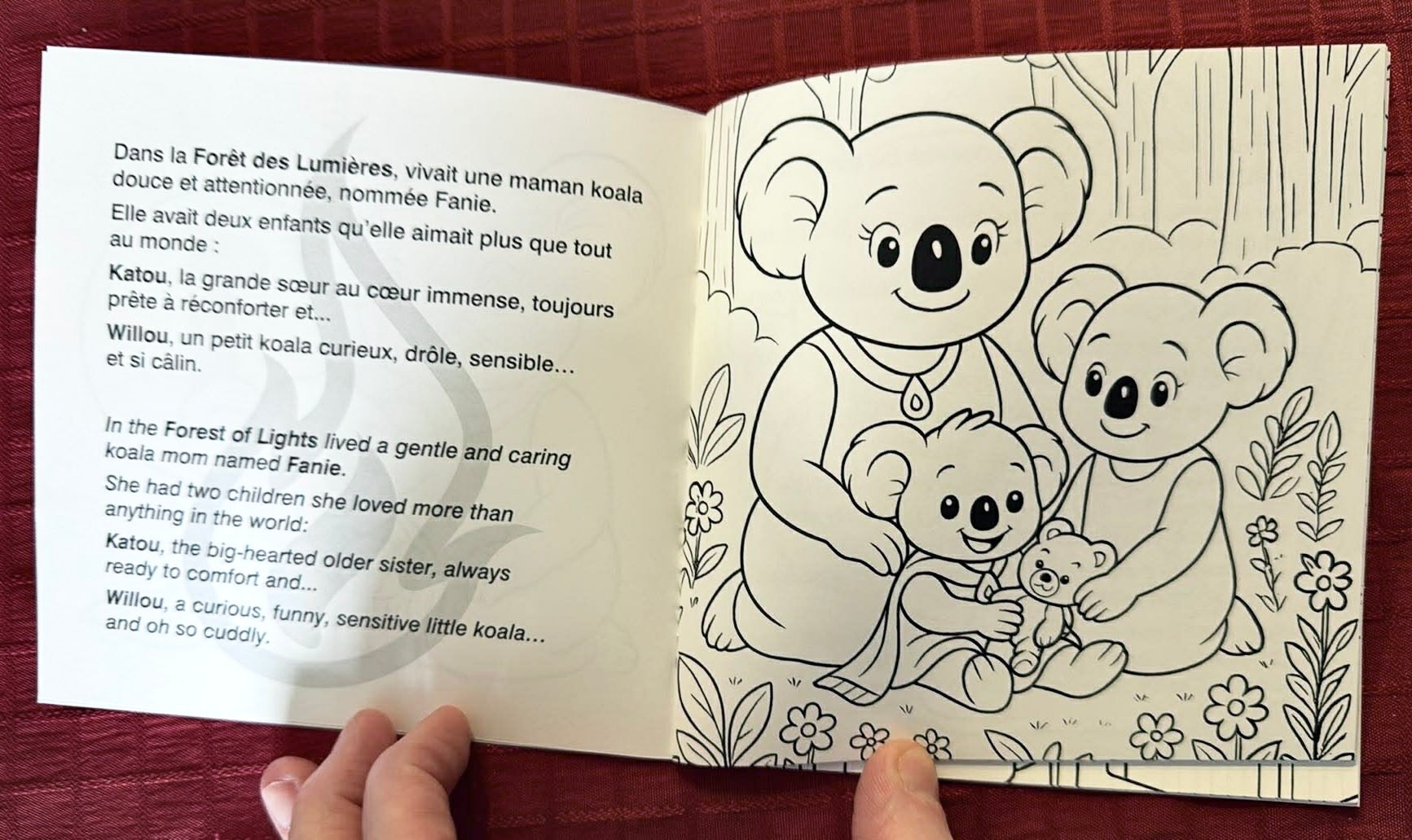 Livre Willou (pour une bonne cause)