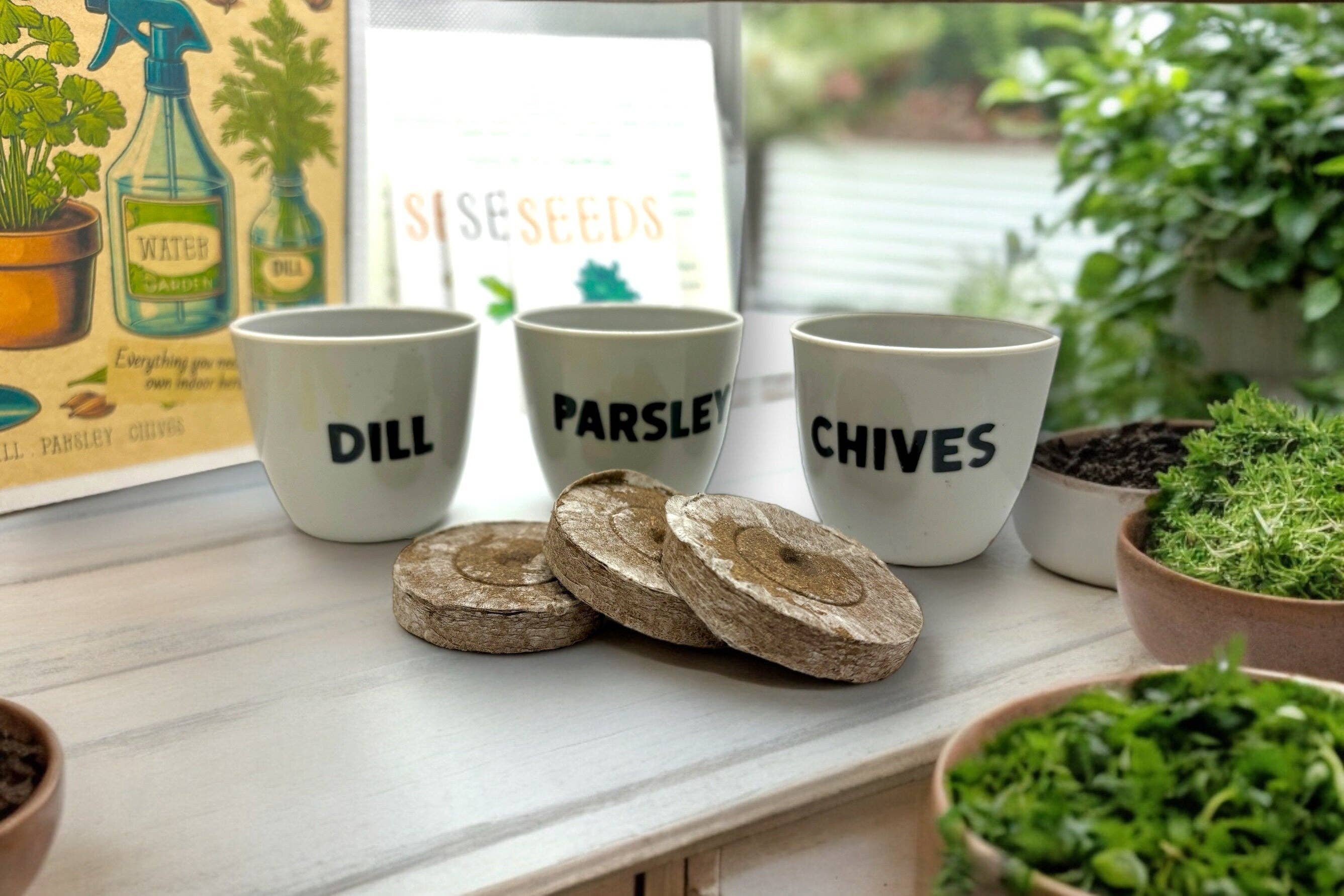 Kit de démarrage pour jardin d'herbes aromatiques d'intérieur avec graines de persil, de ciboulette et d'aneth