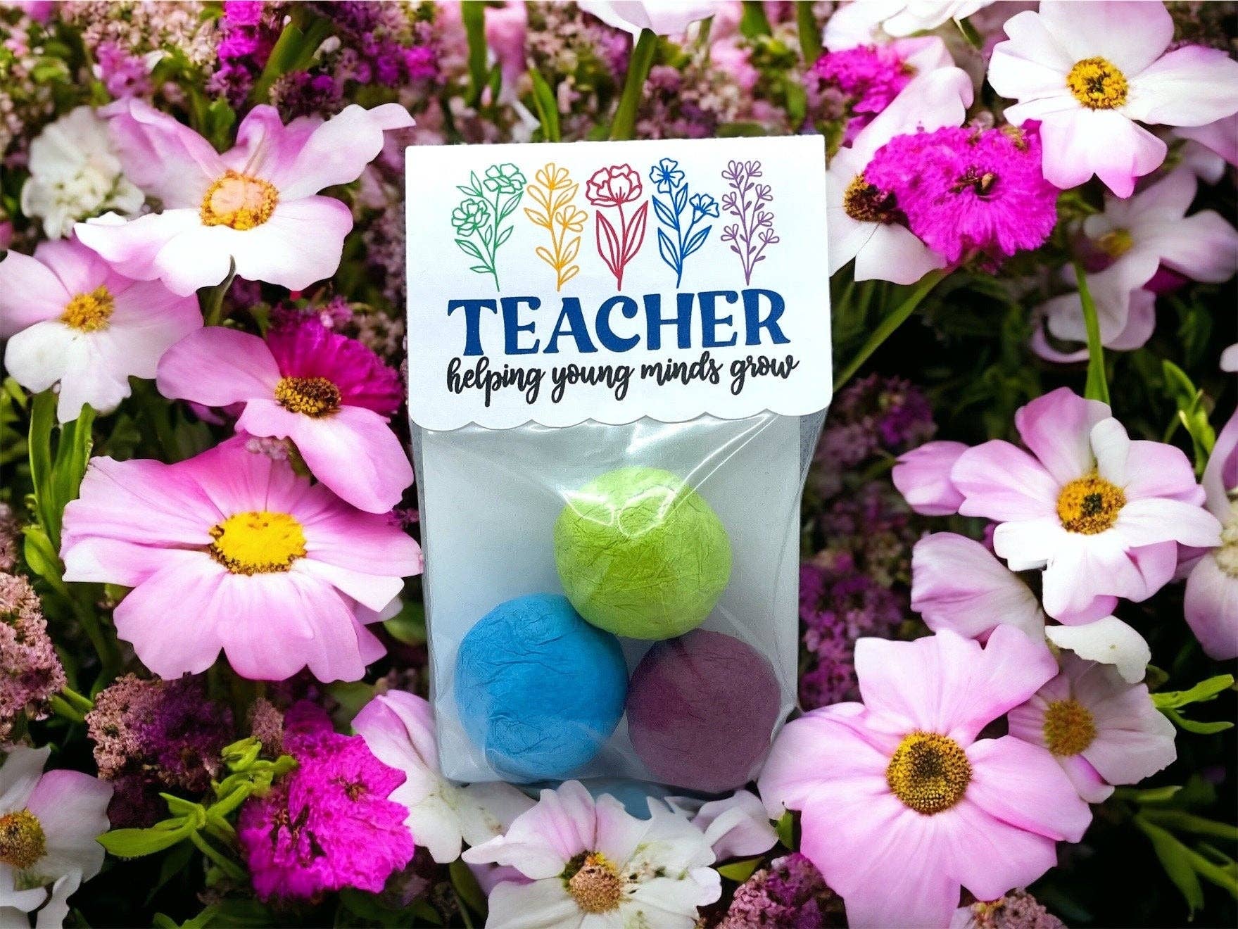 Seed Bombs - Cadeau de remerciement pour un enseignant