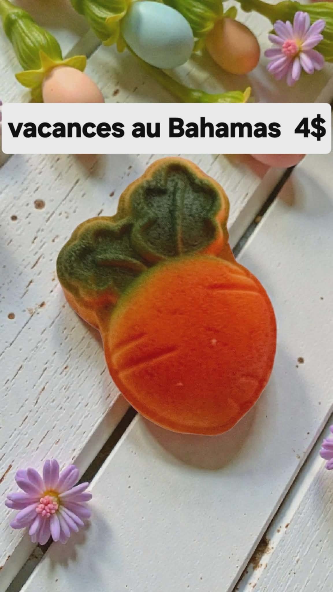 Bombe carotte vacance au Bahamas avec insertions de couleurs PRÉCOMMANDE